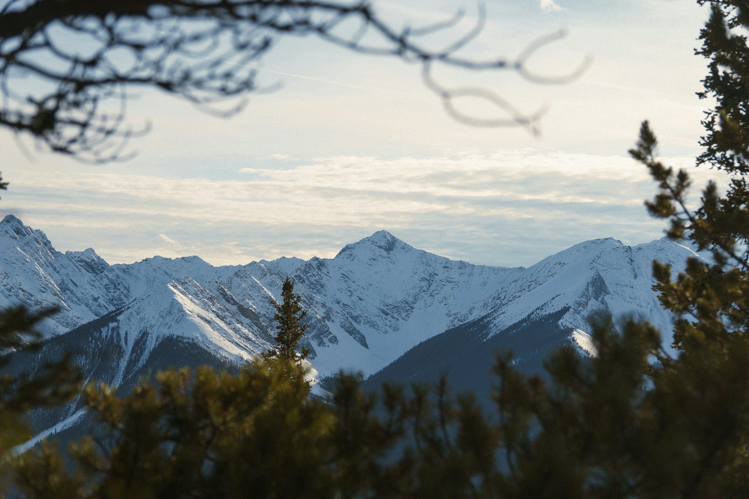 Photo by tfrankcreations