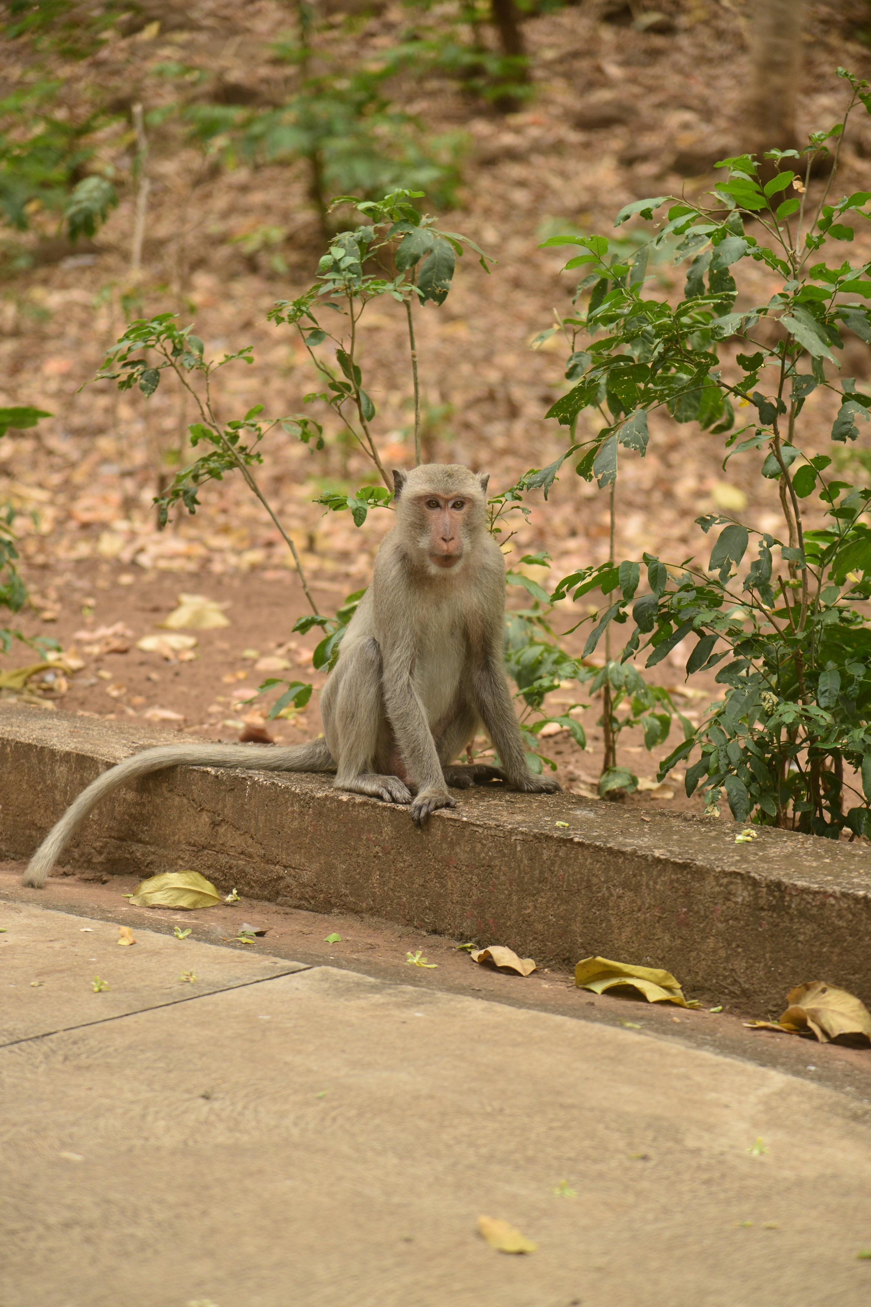 Photo by maiami24569