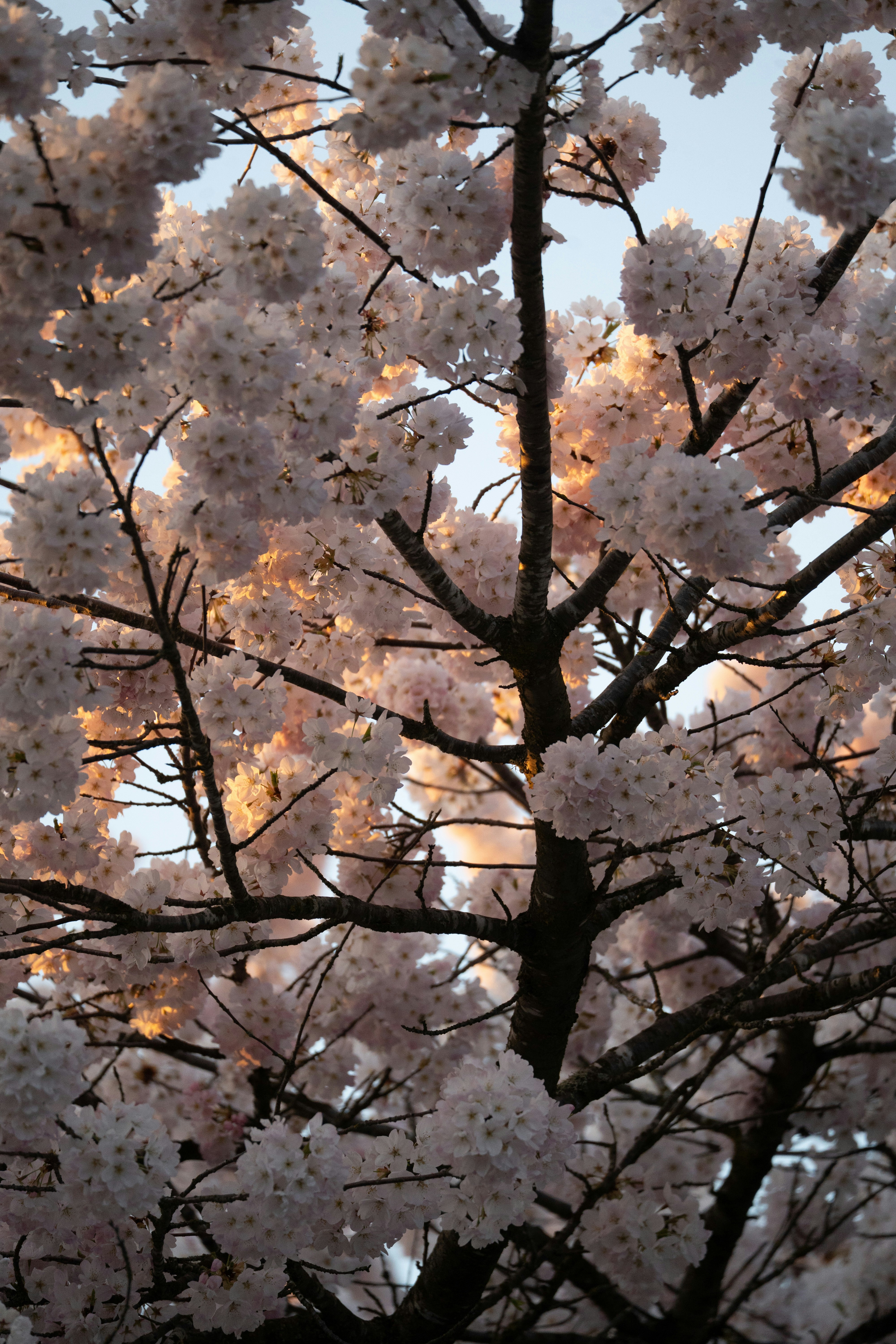Photo by ssistu