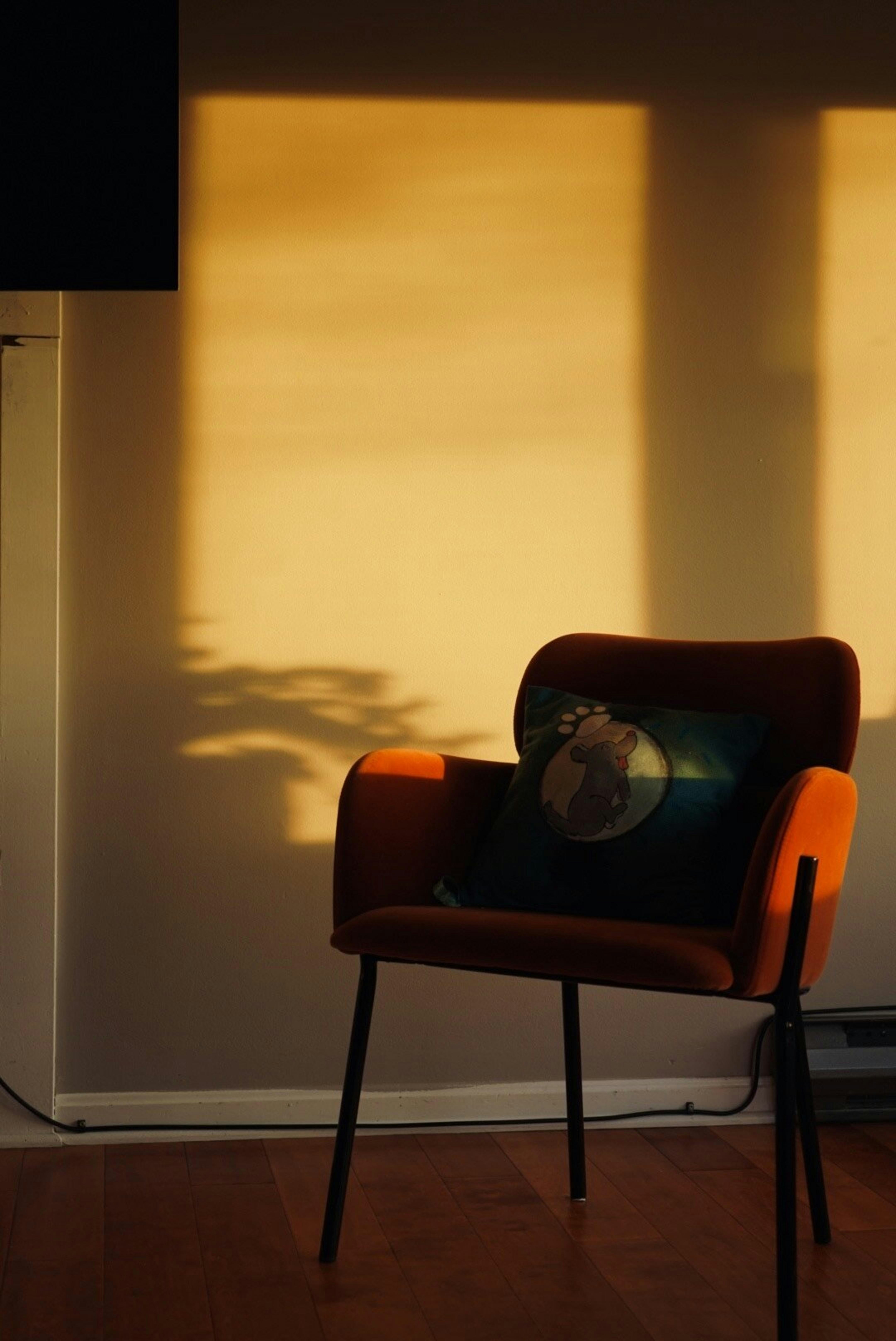 Photo by jamesrathod