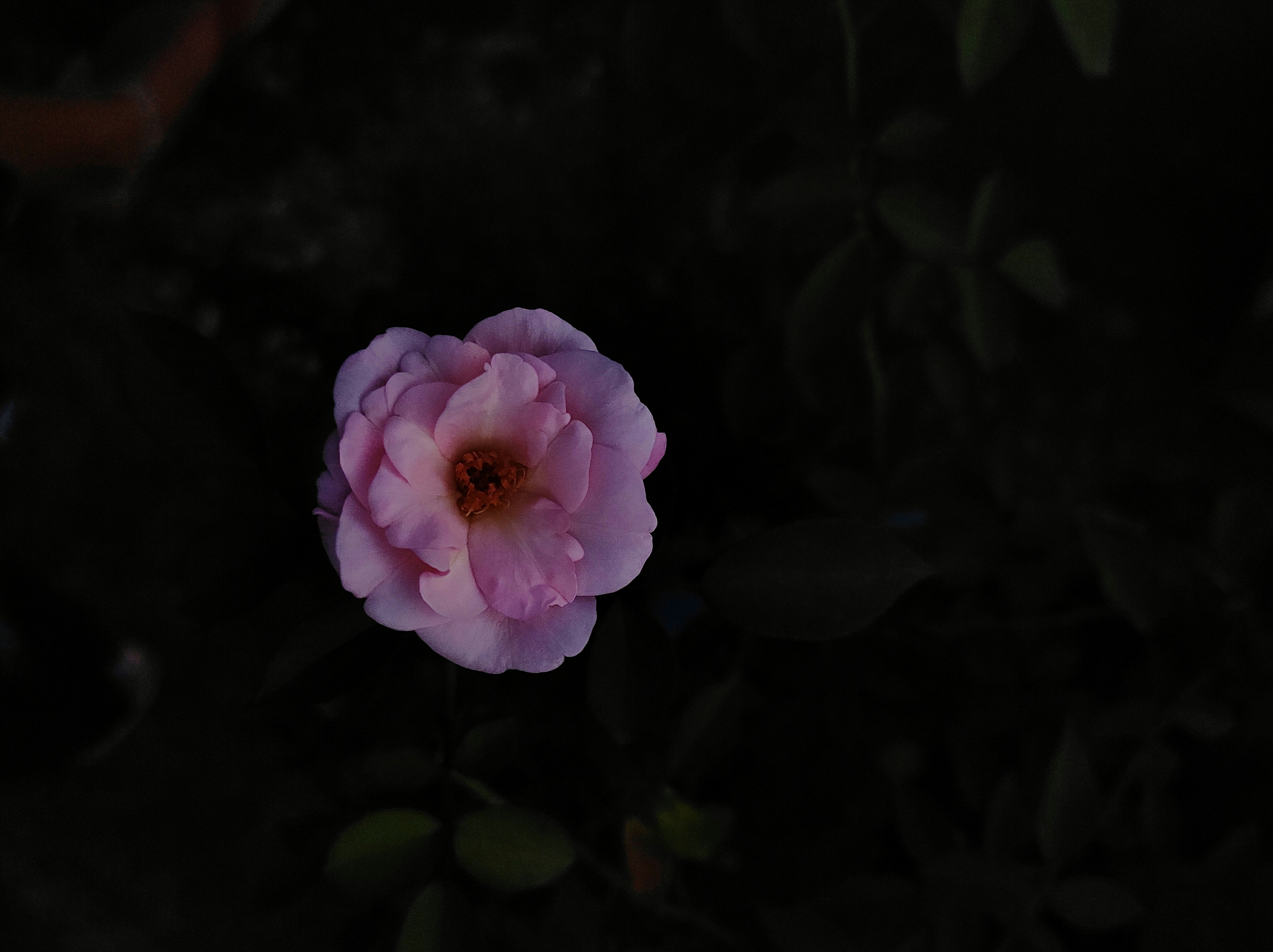 Photo by macrosam