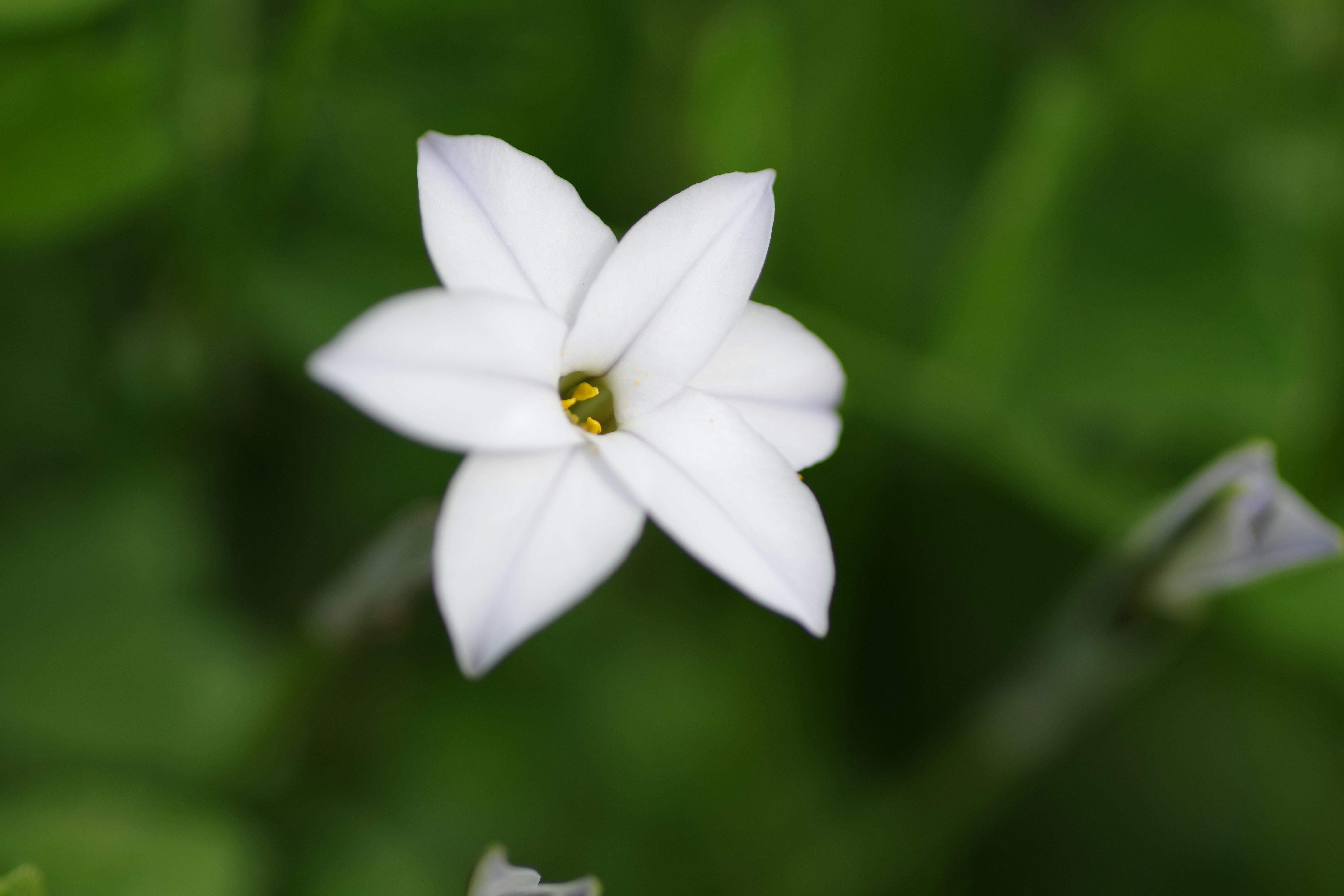 Photo by naopp