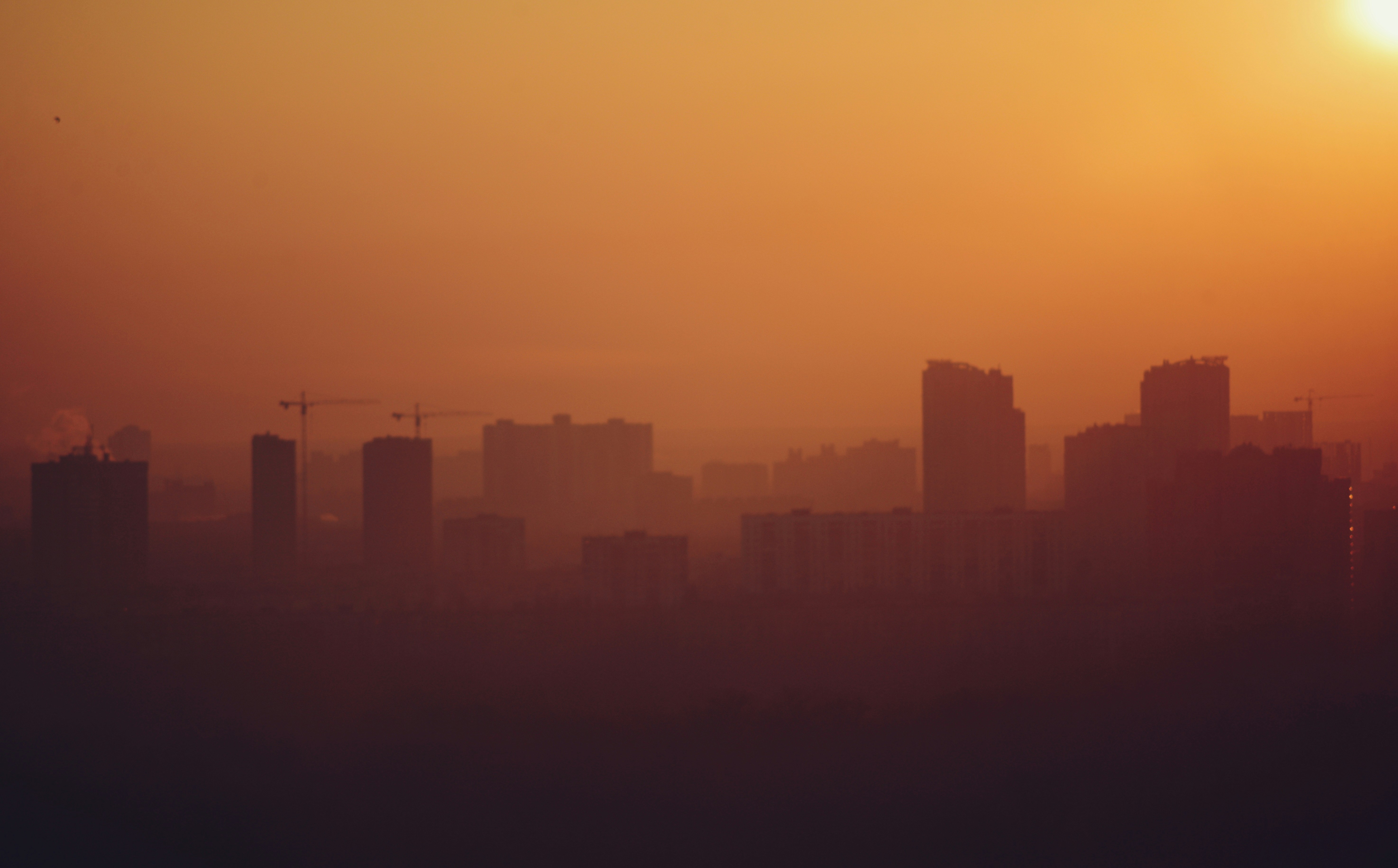 Photo by cherstve_pechivo