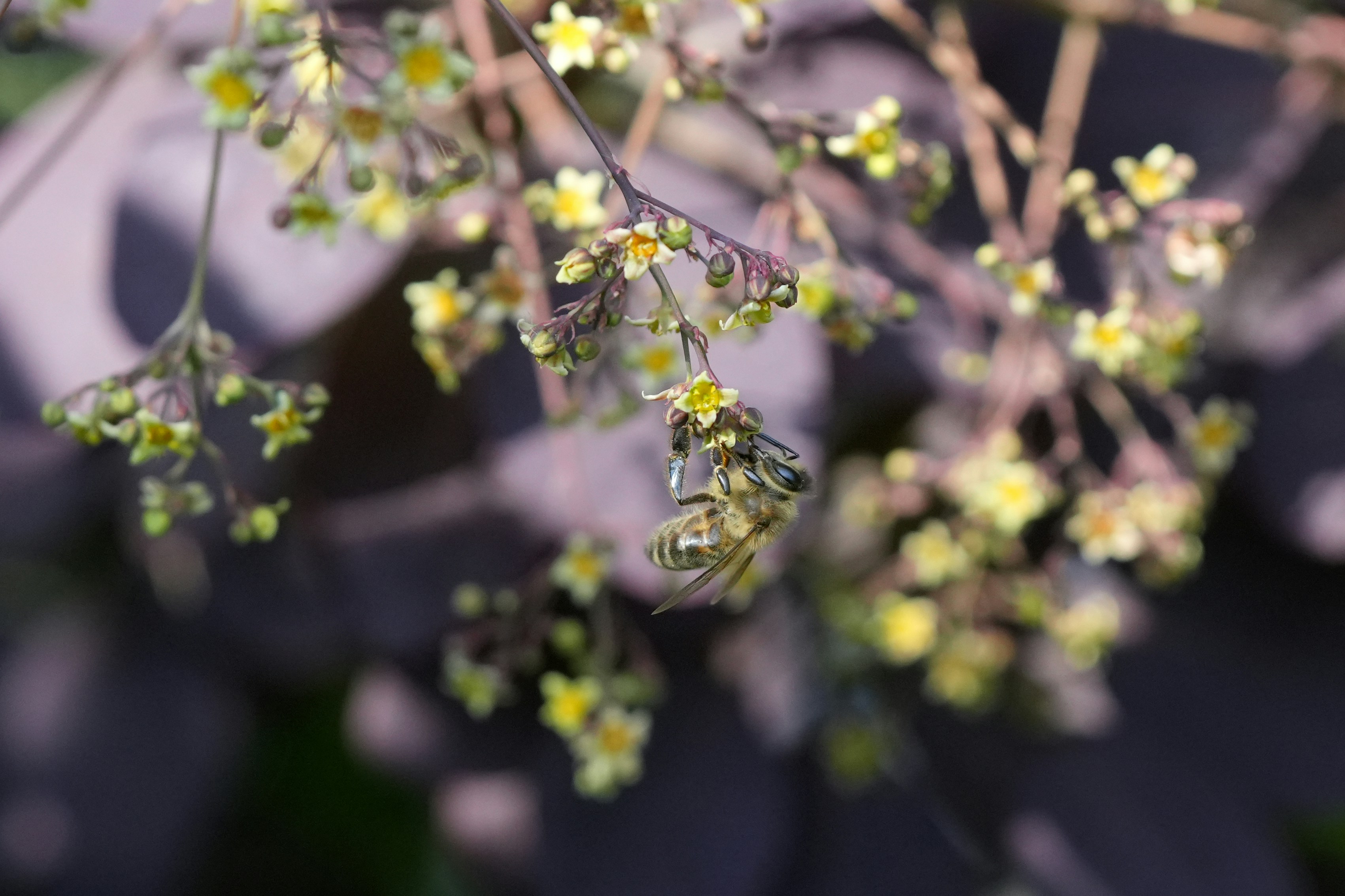 Photo by makabera