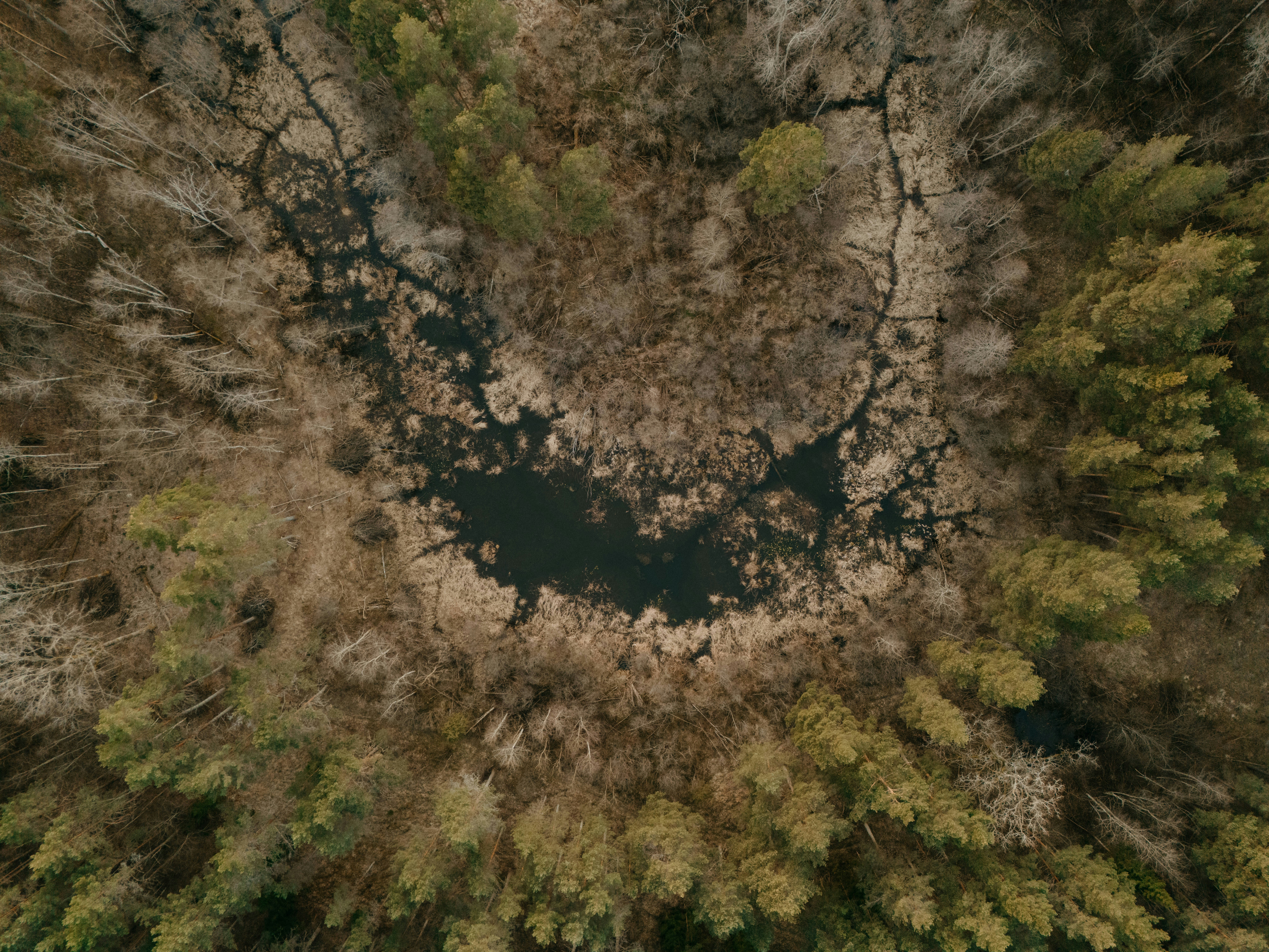 Photo by vilkuaivars