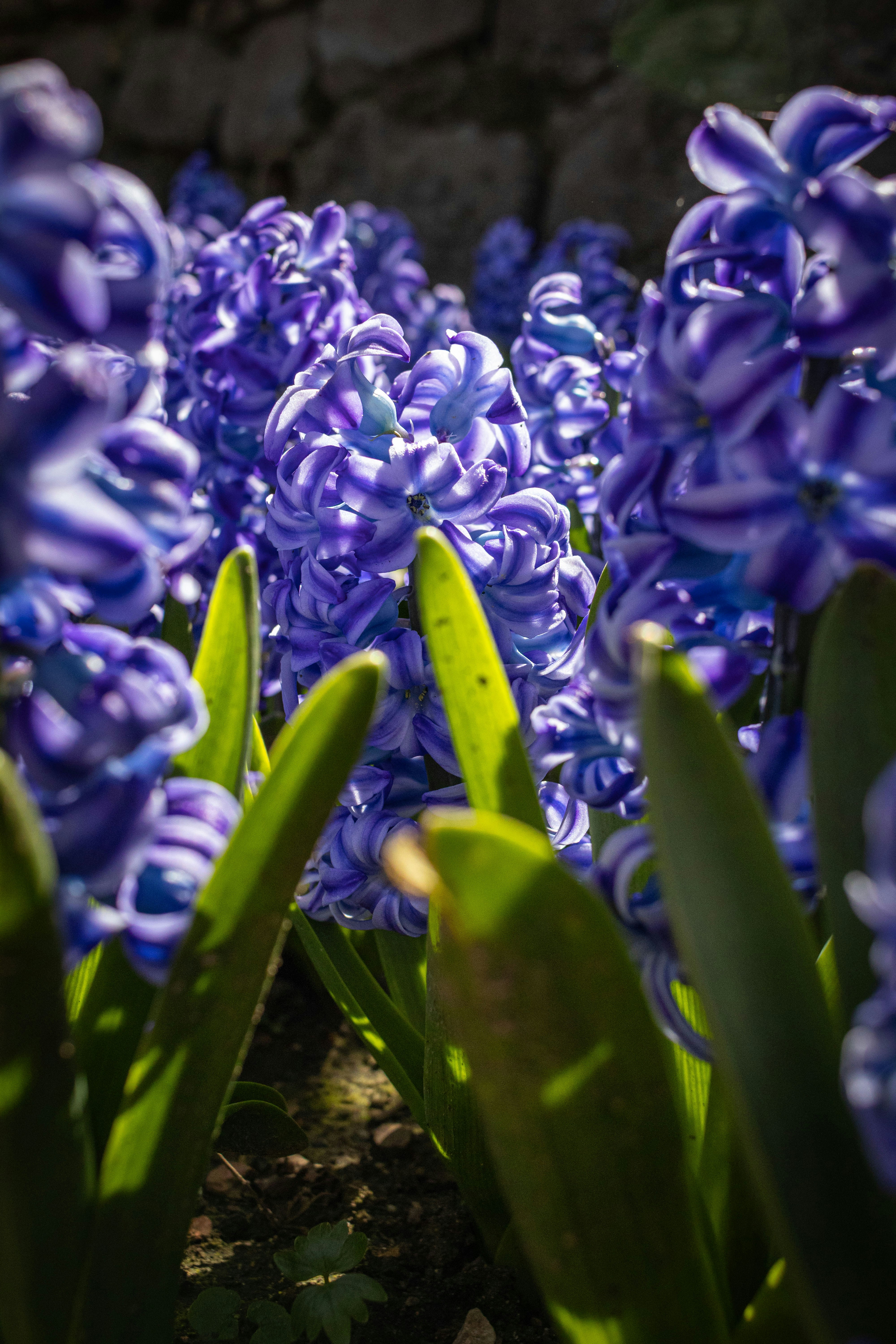 Photo by kennyvrphotography