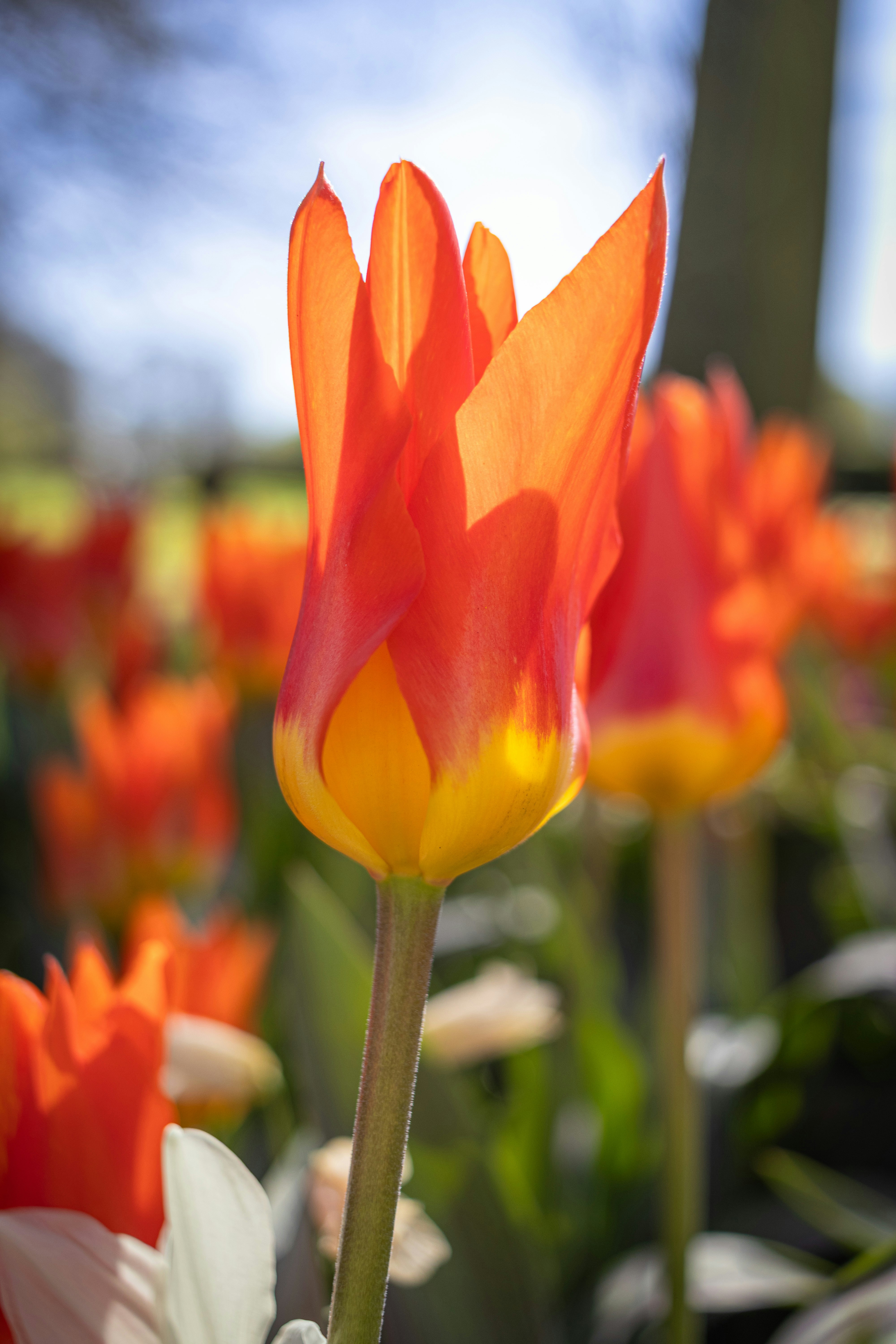 Photo by kennyvrphotography