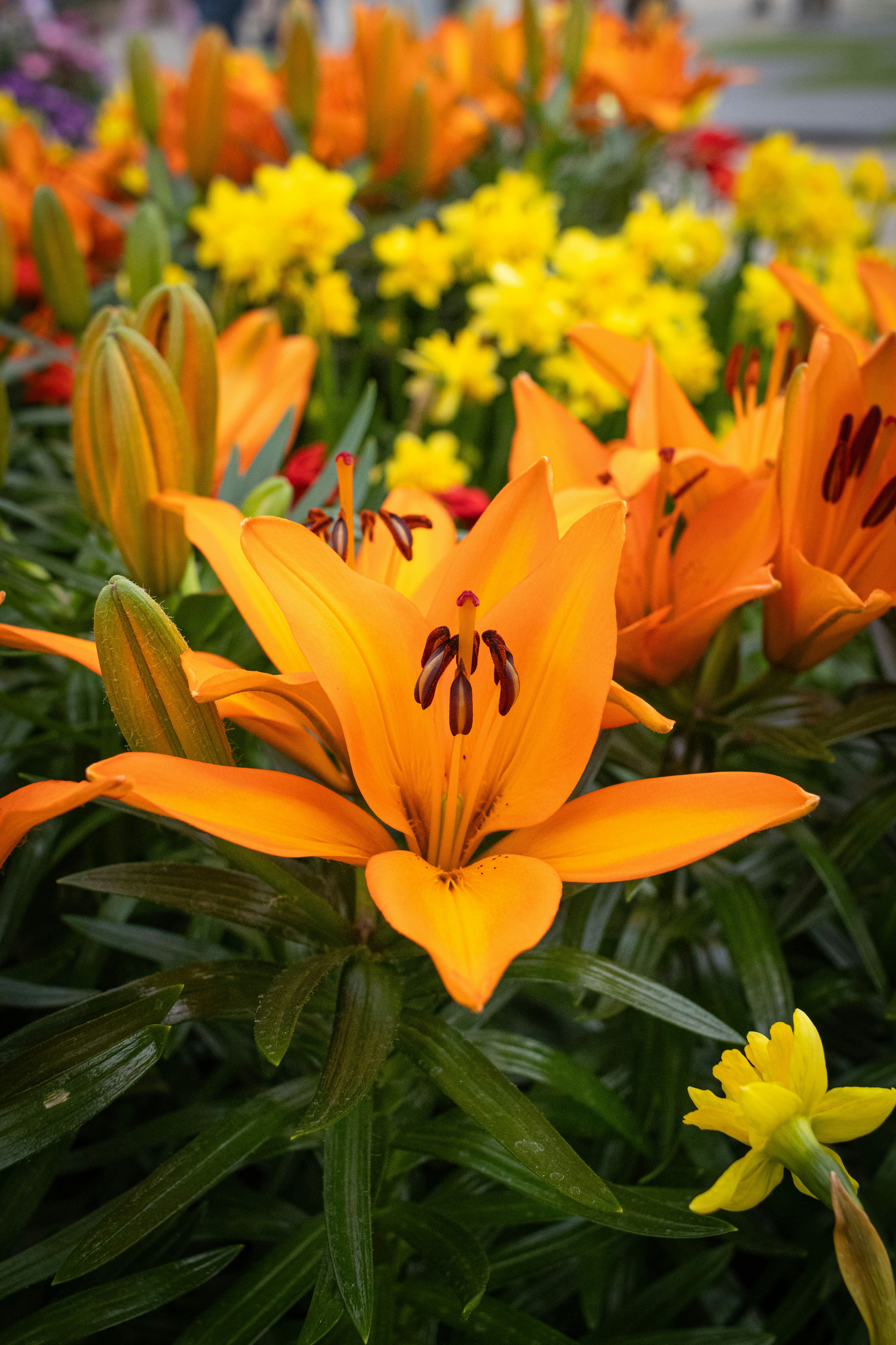 Photo by kennyvrphotography