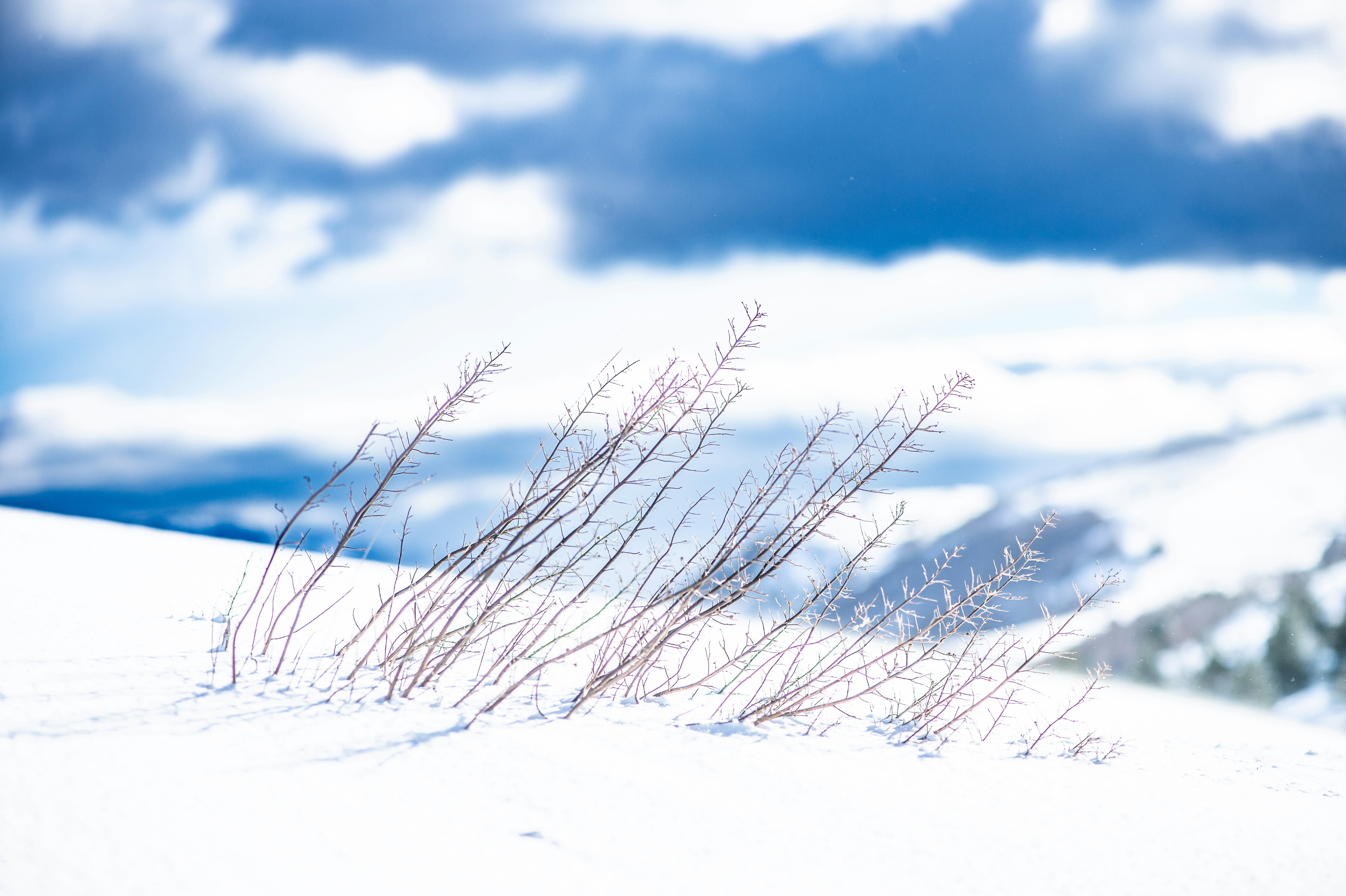 Photo by lucaakalu
