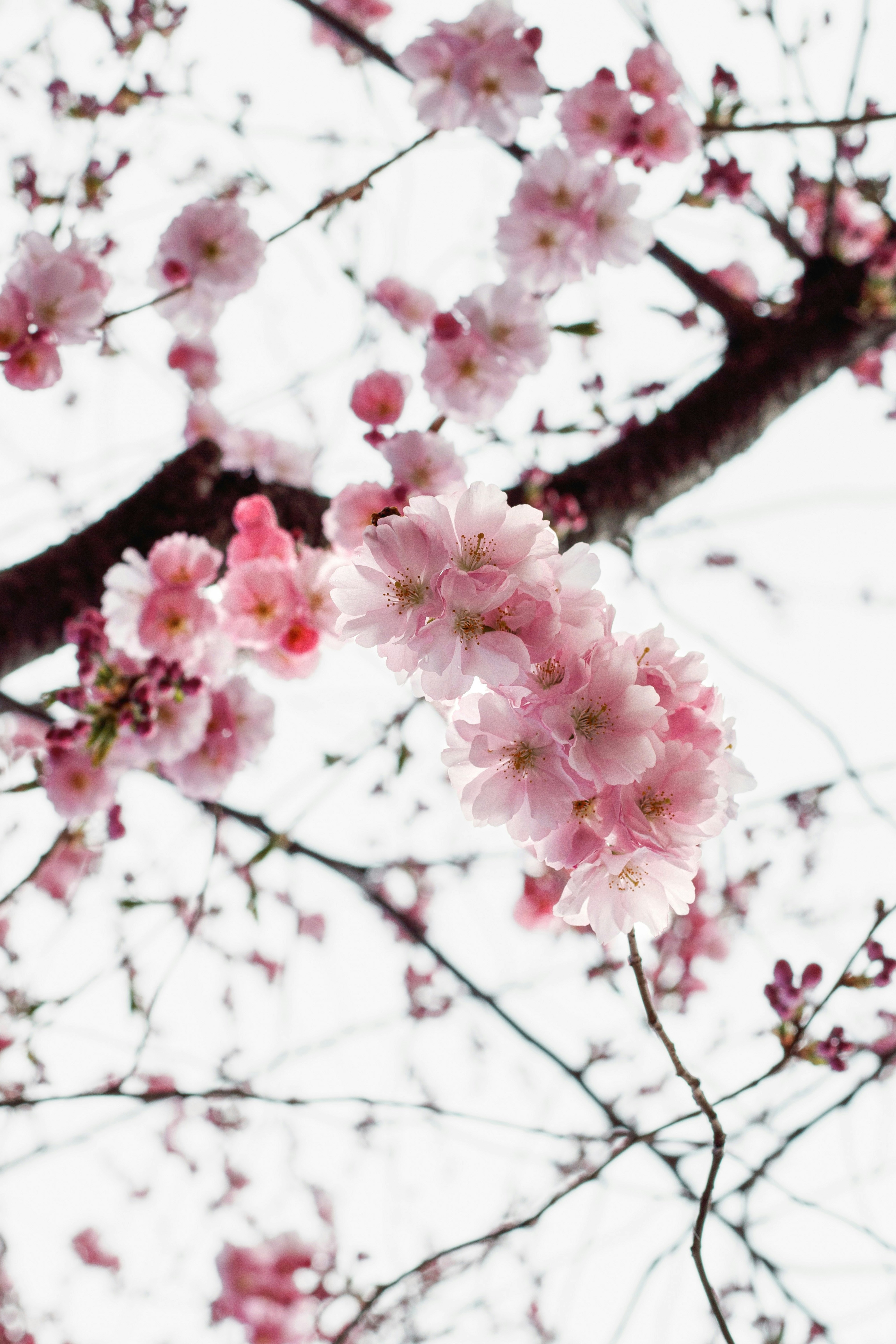 Photo by angelina_shulzhenko