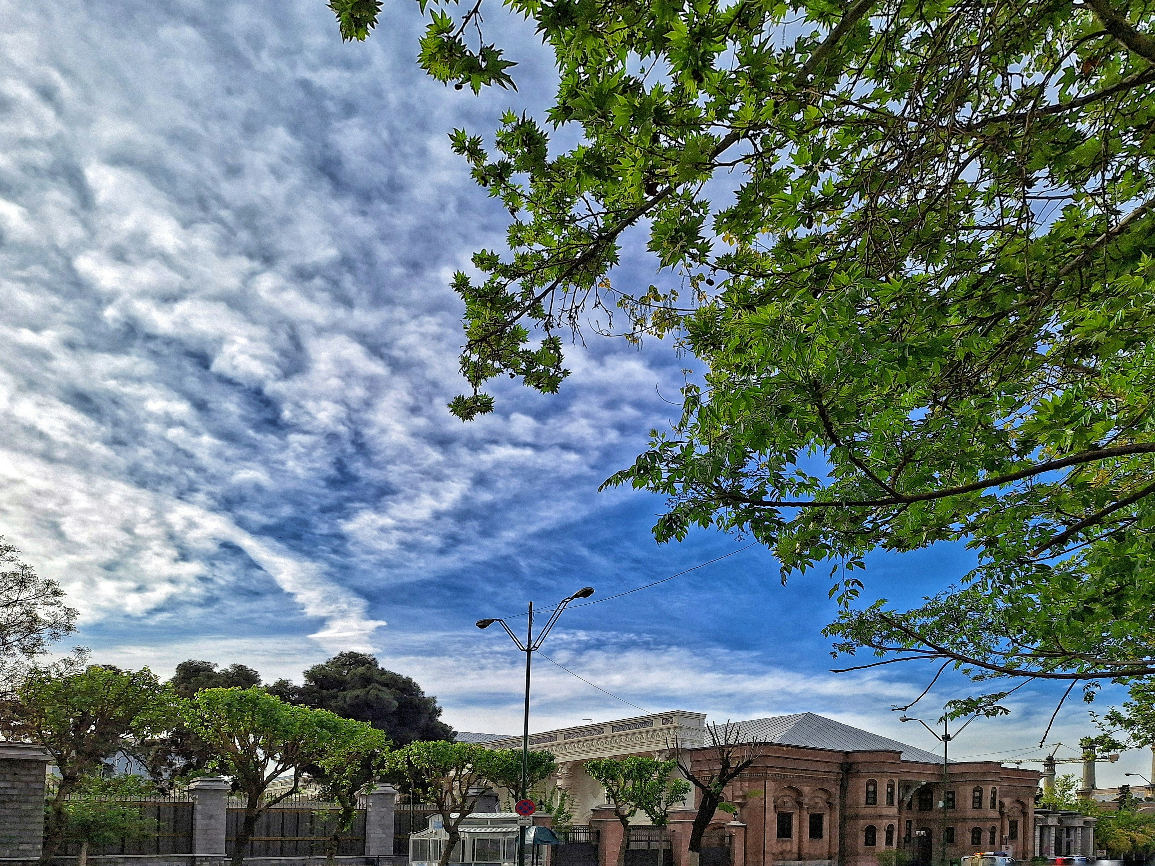 Photo by saharkhosrogorji
