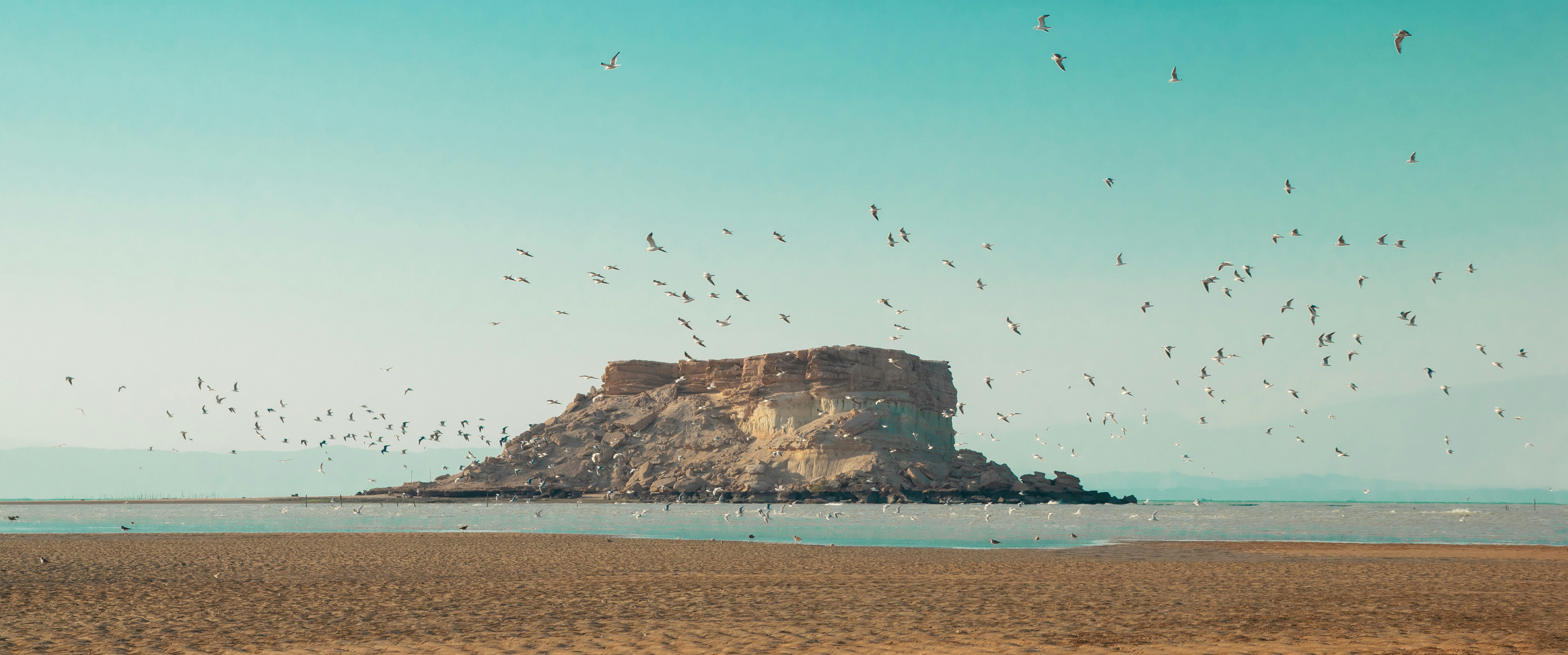 Island with birds flying in the sky.