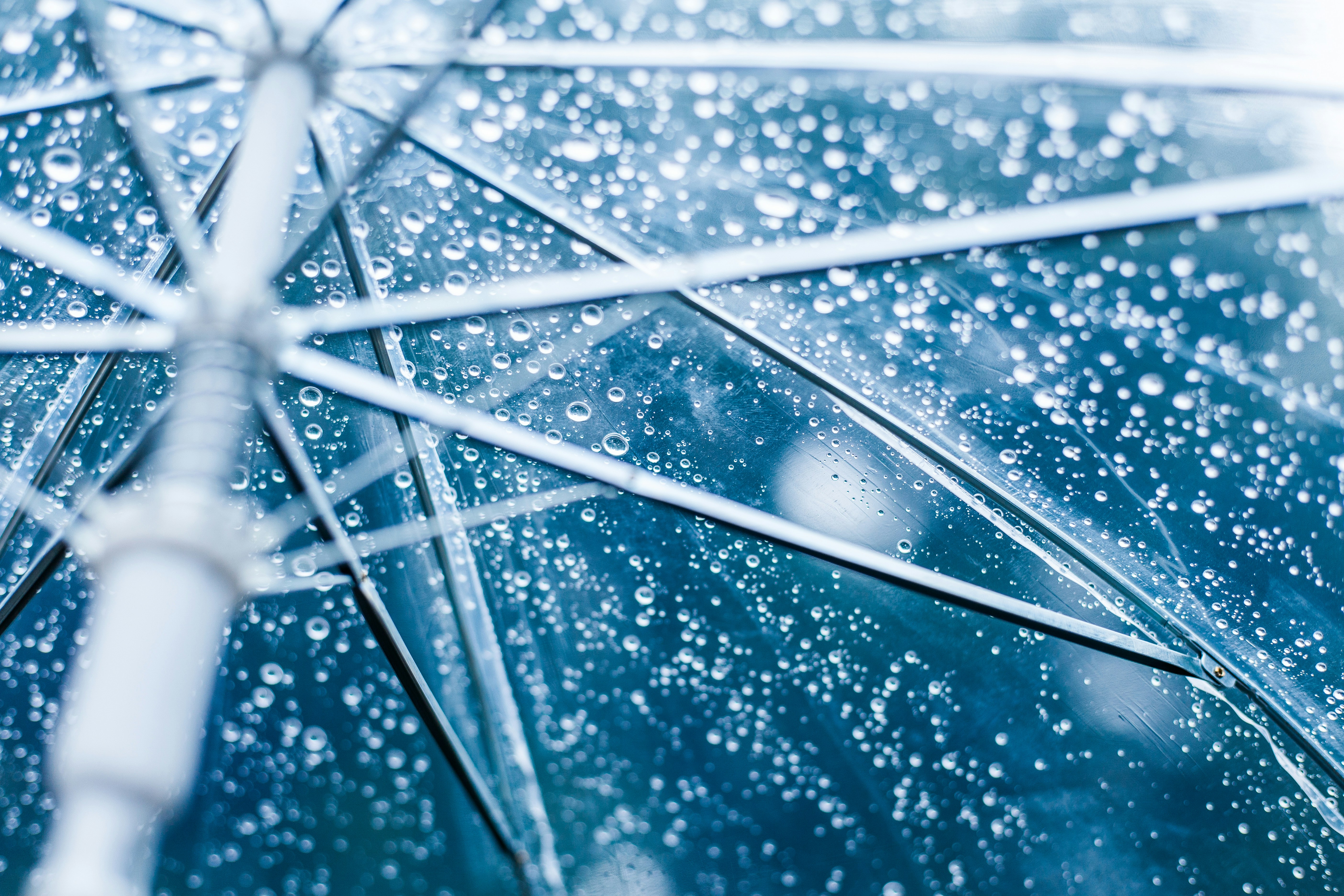 Raindrops cover a transparent umbrella.