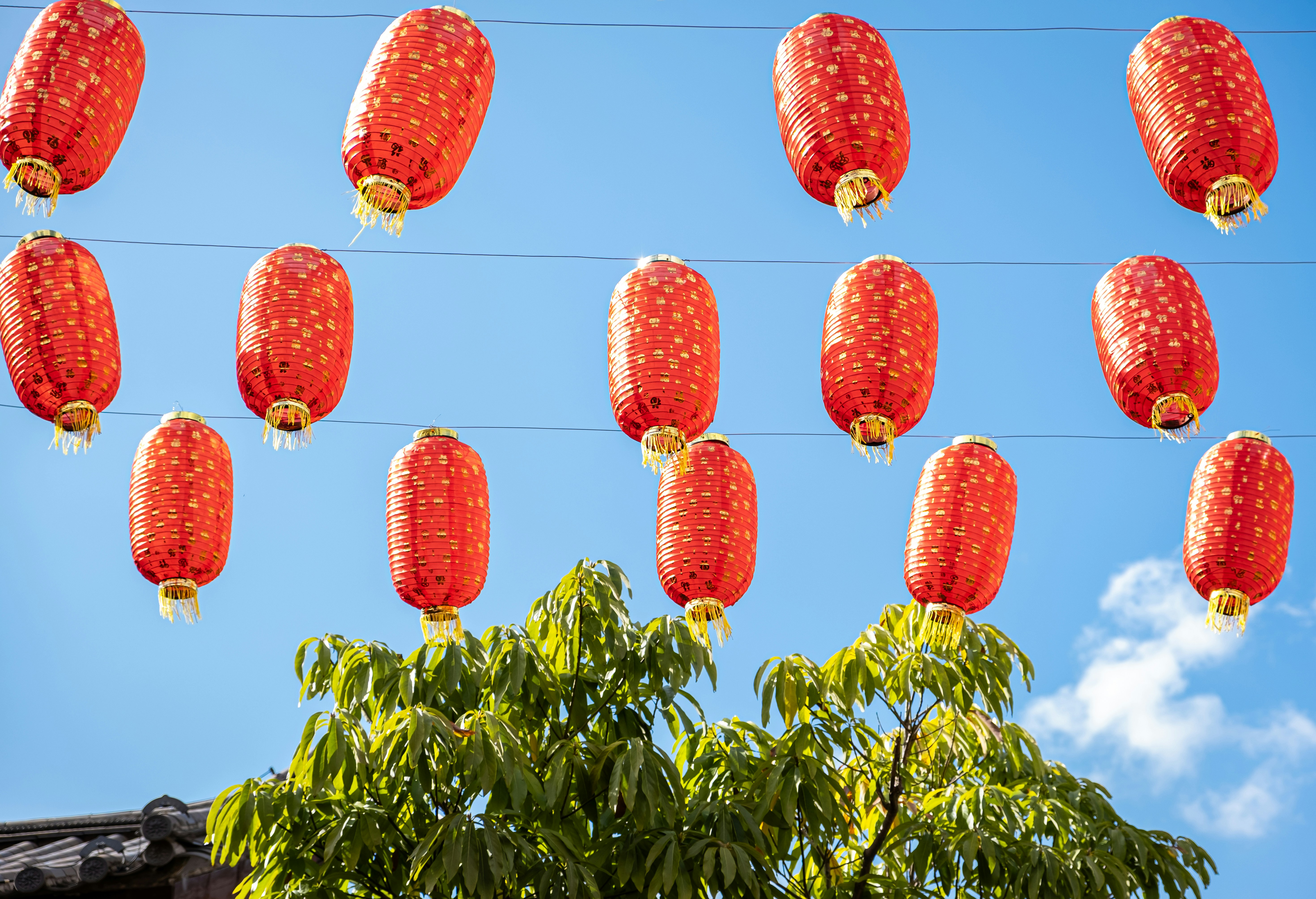 Red lanterns hang against a blue sky.