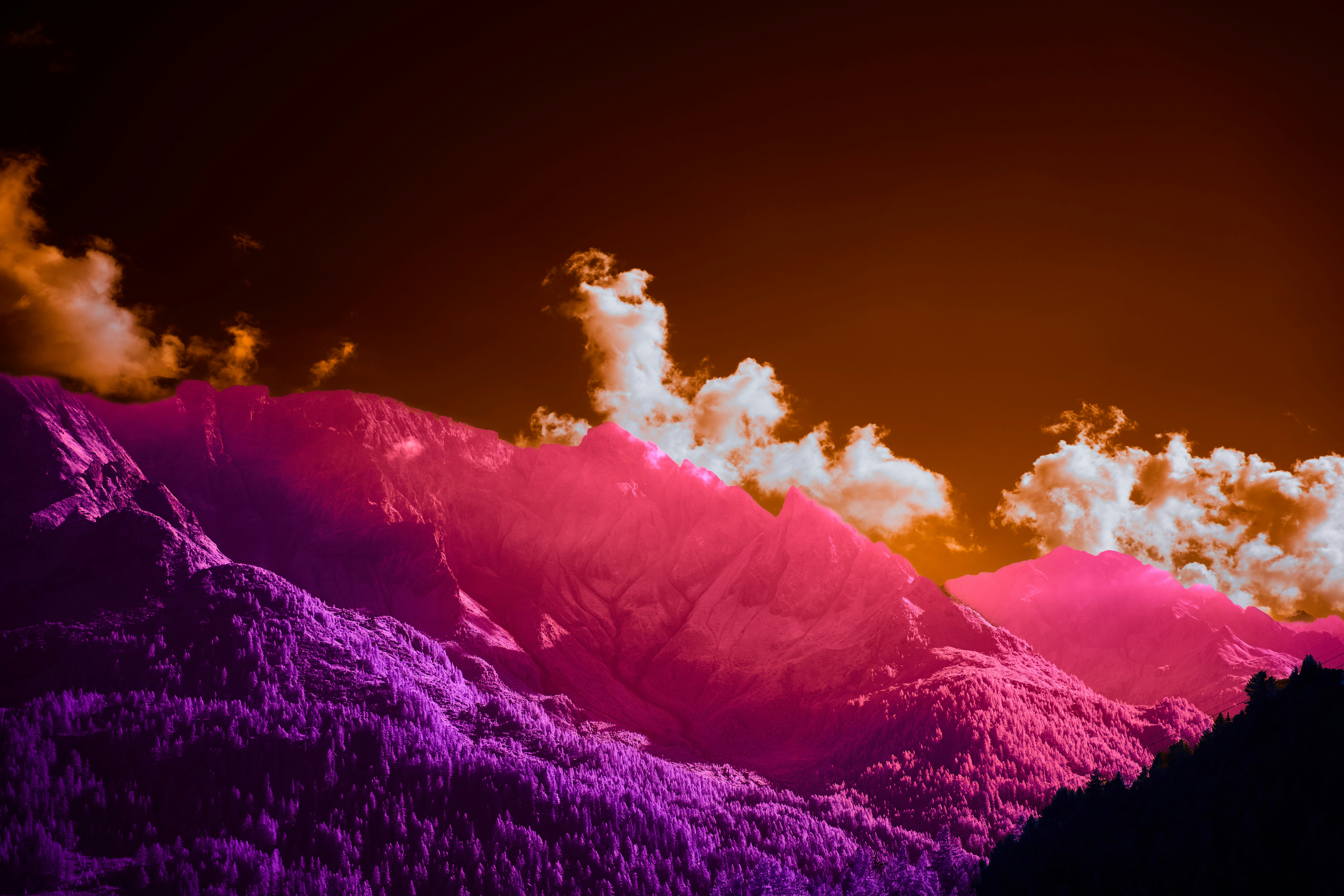 Photo by wolfgang_hasselmann