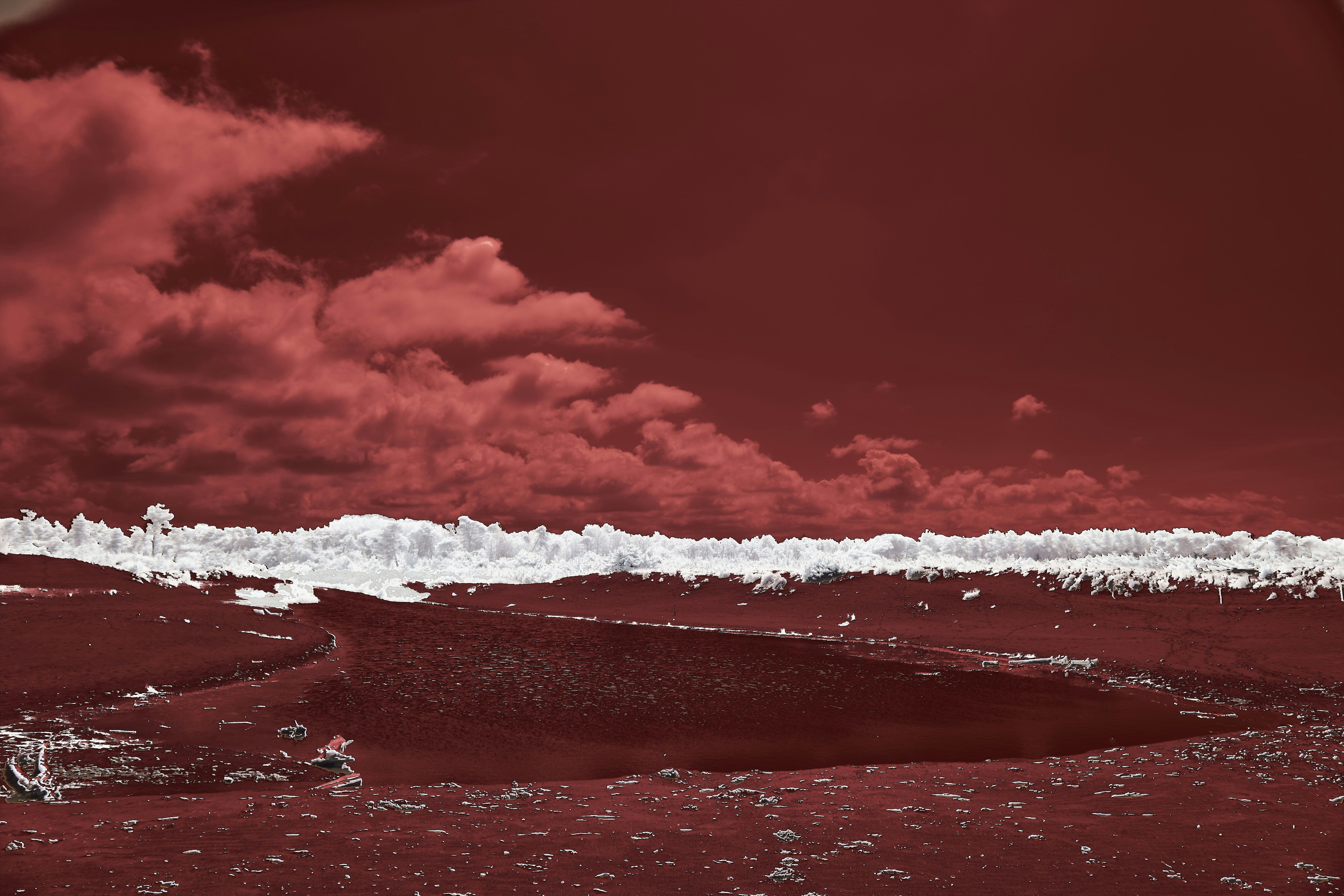 Photo by wolfgang_hasselmann