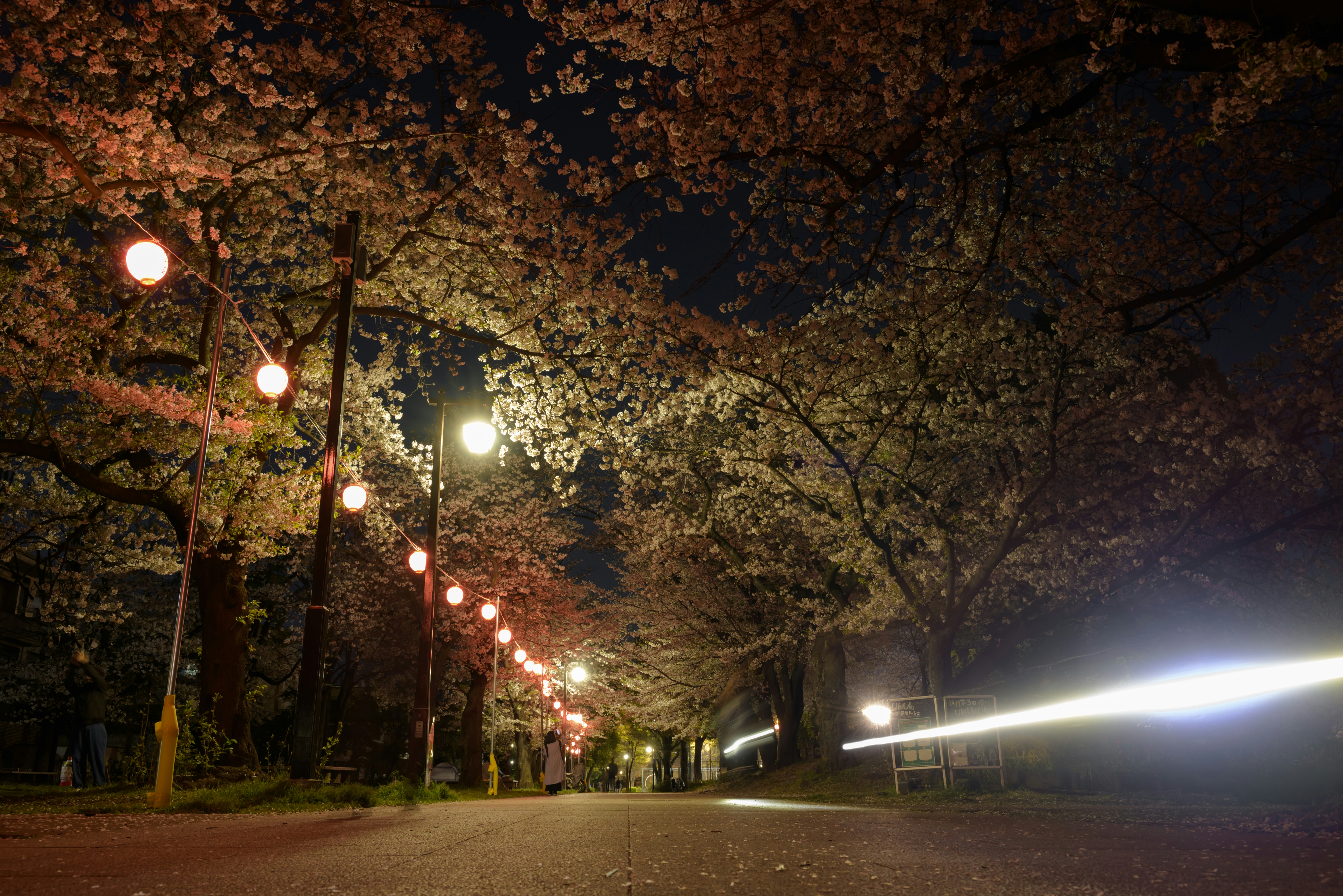 Photo by hayato_no_kiroku