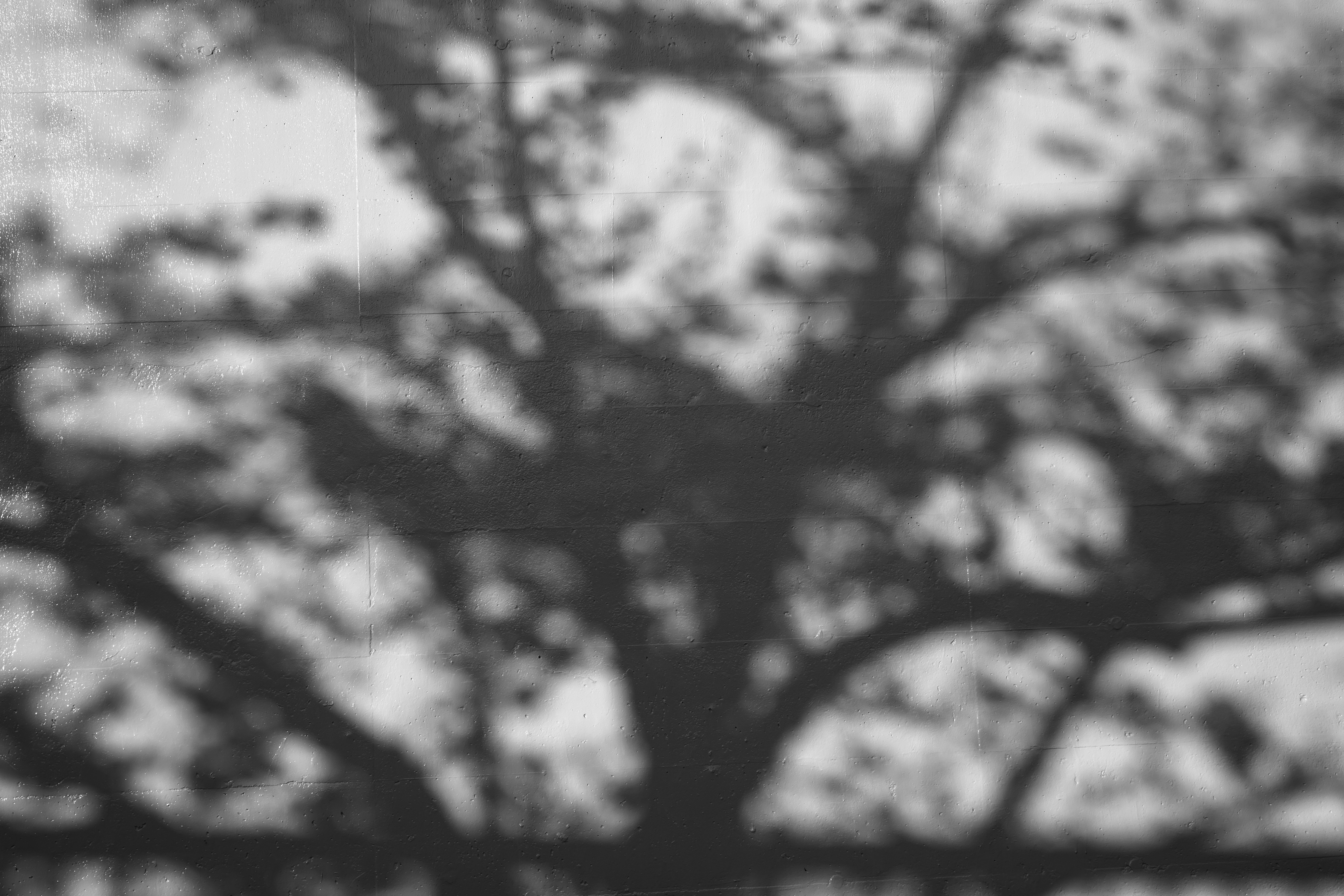 Photo by hayato_no_kiroku