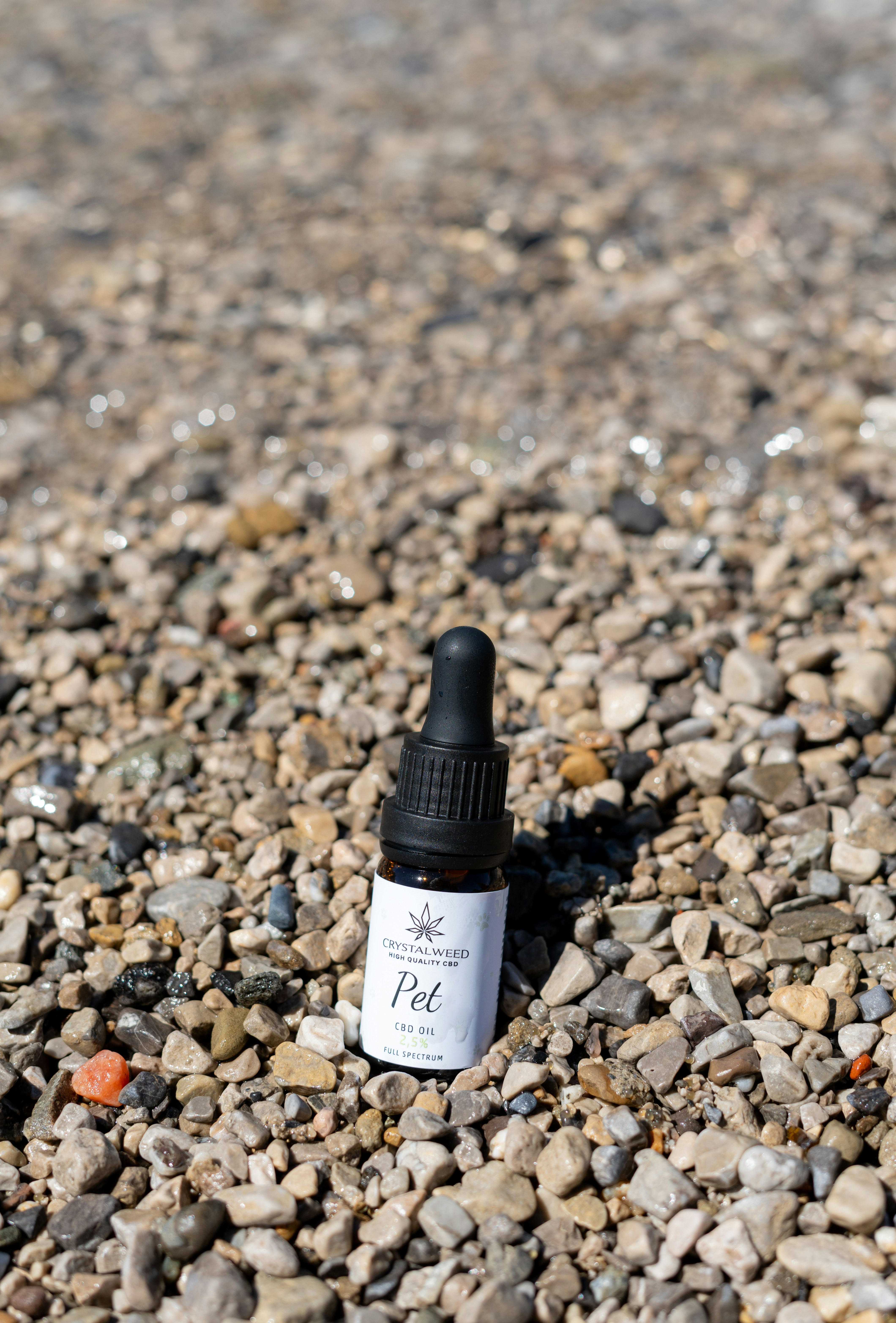 Photo by crystalweed