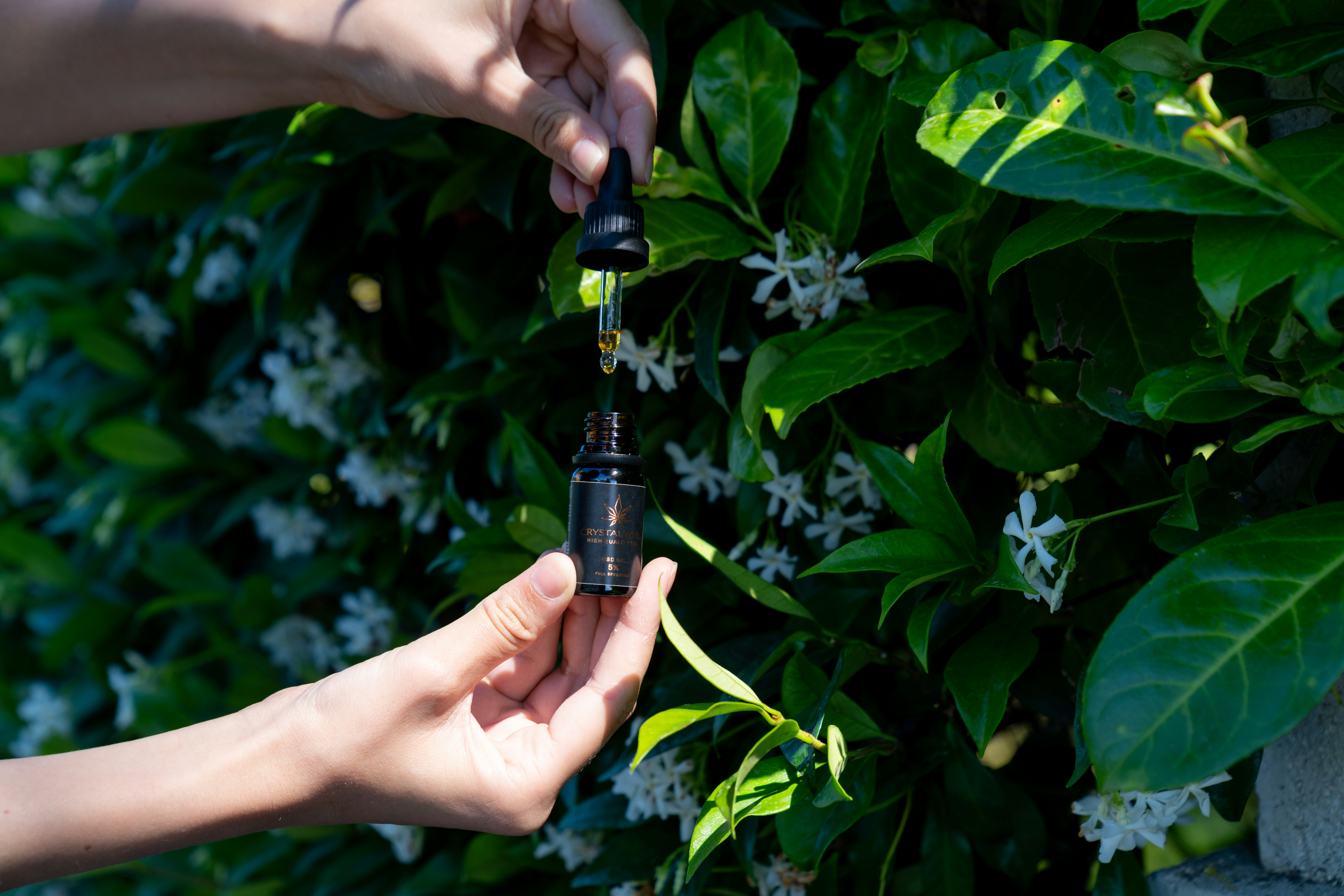 Photo by crystalweed