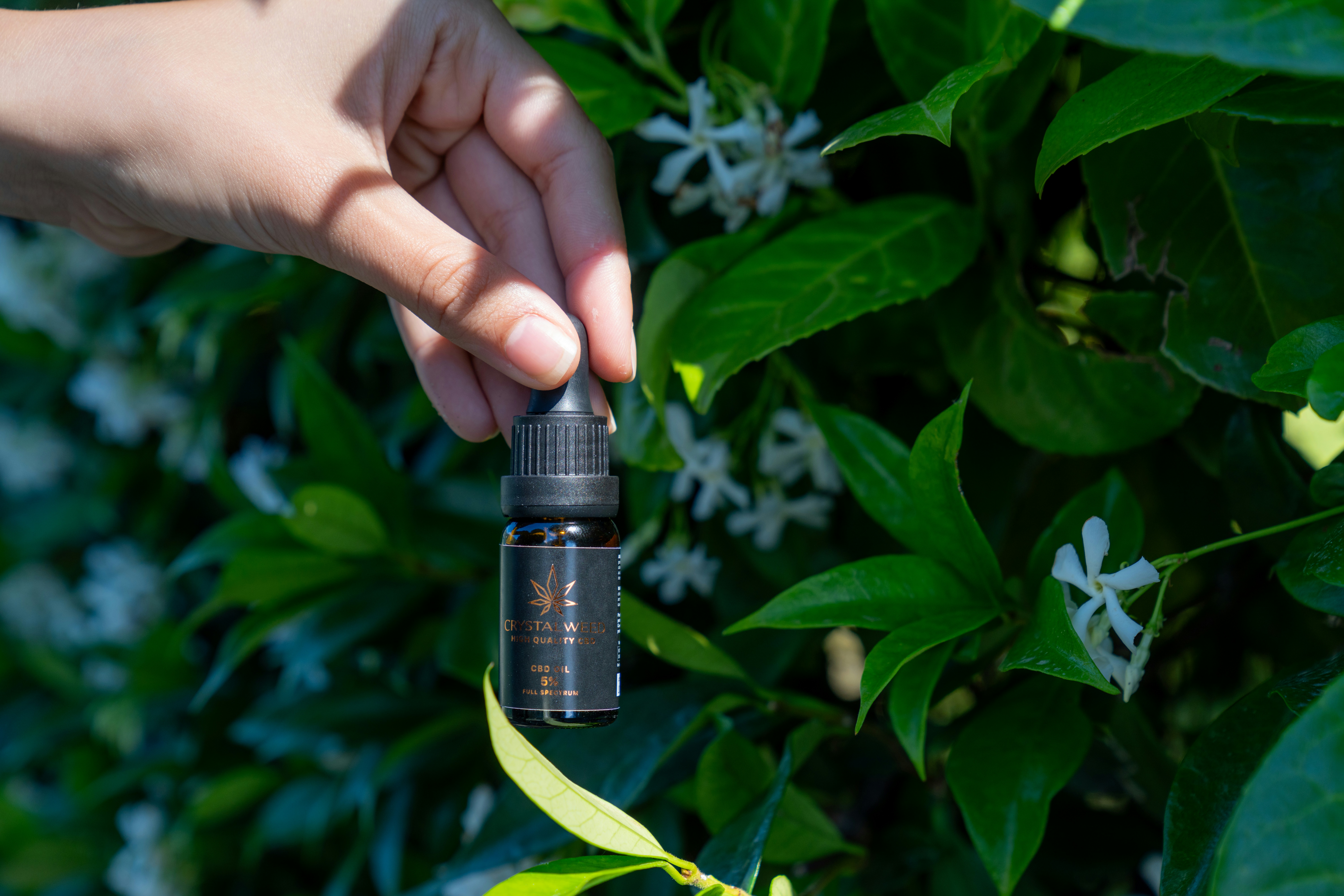 Photo by crystalweed