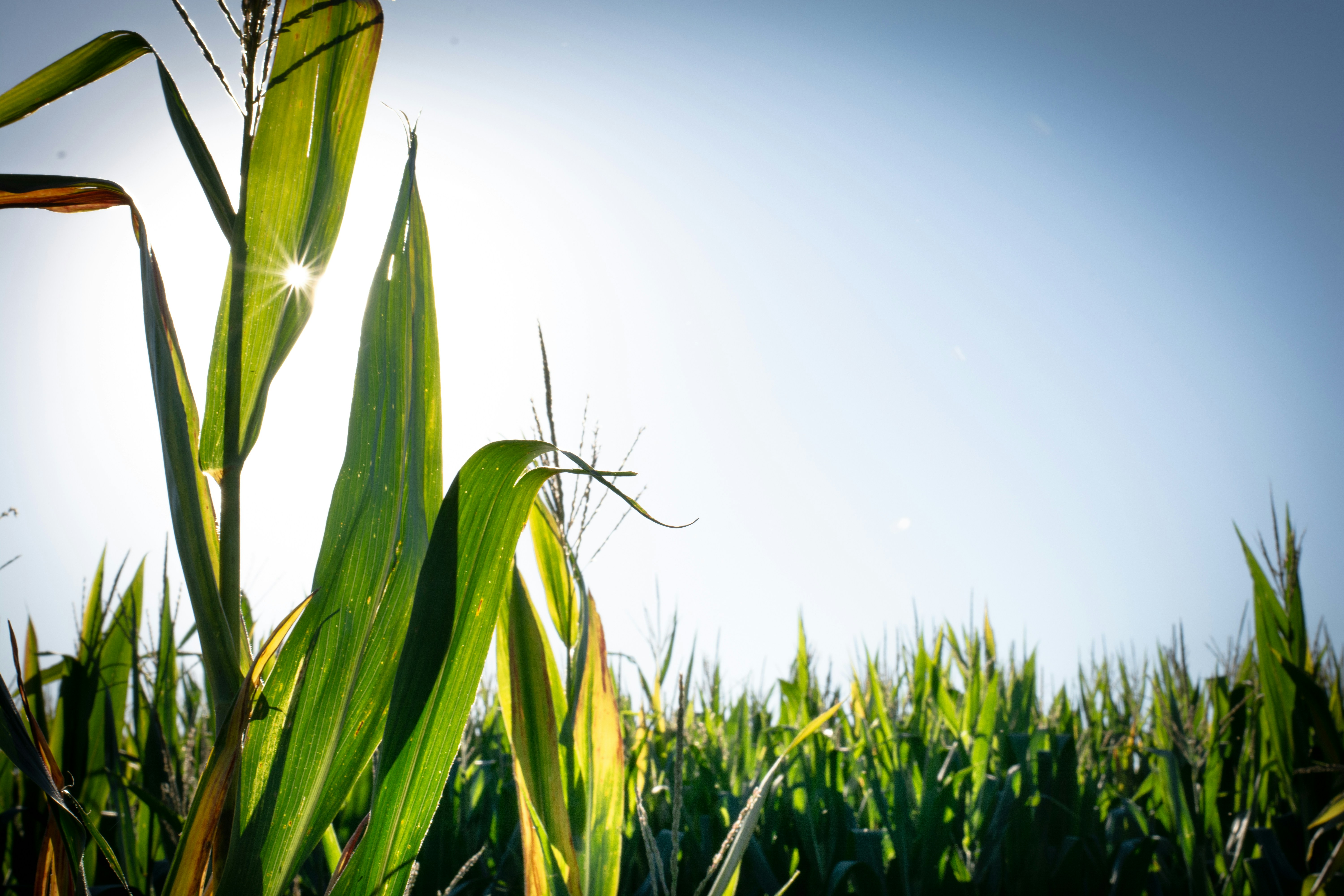 Photo by jplphotography