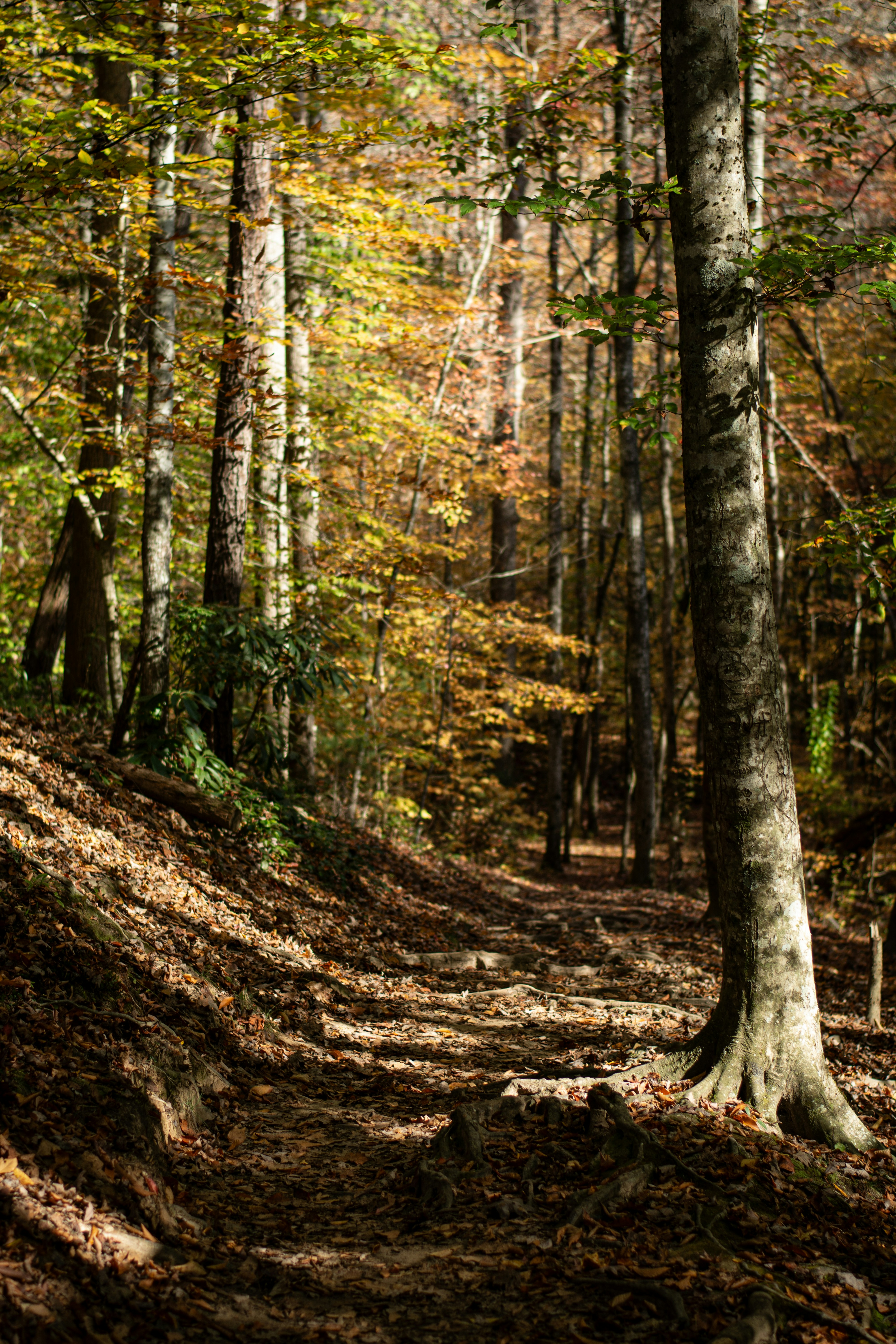 Photo by jplphotography