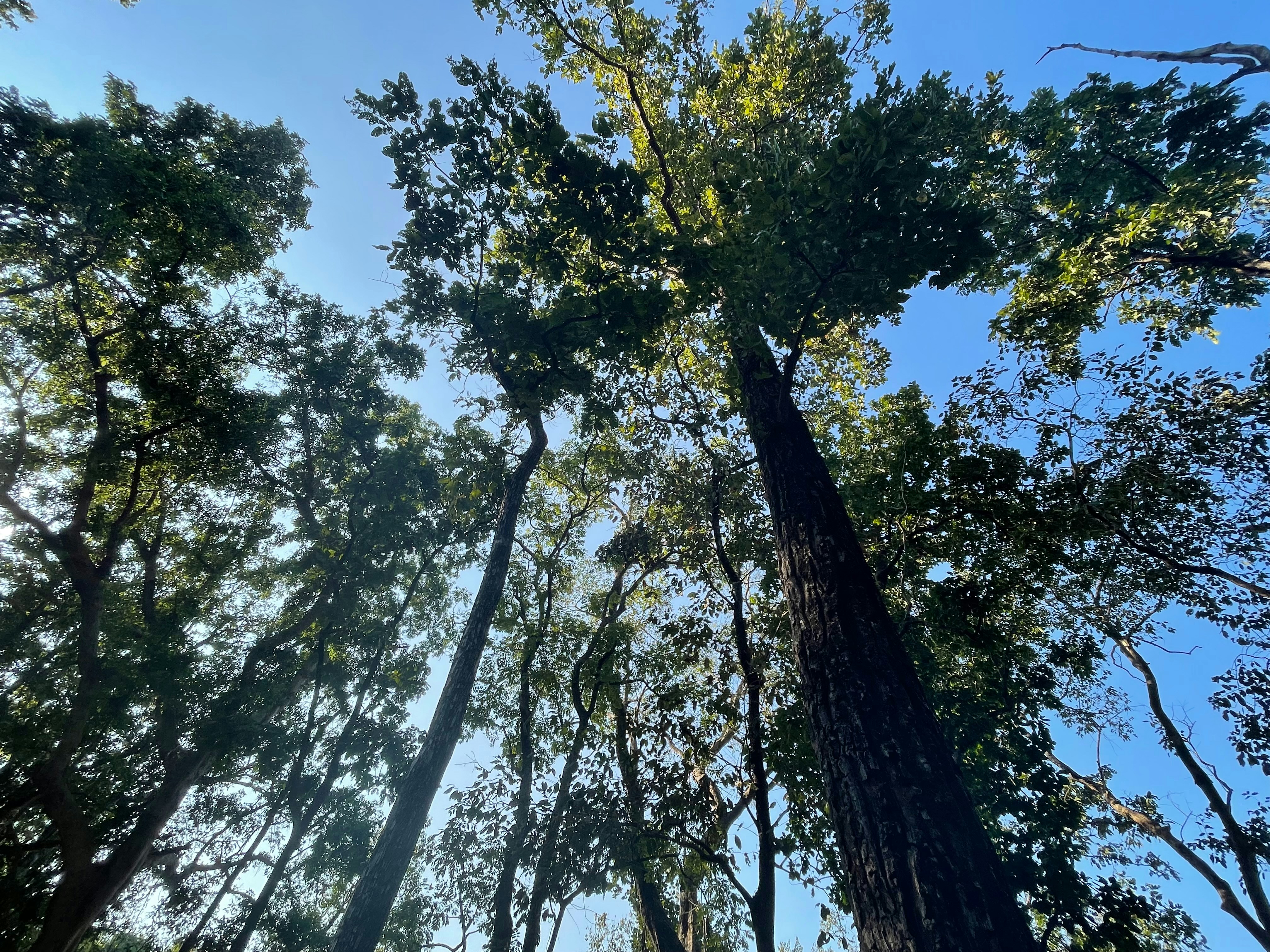 Photo by mysticmermaid