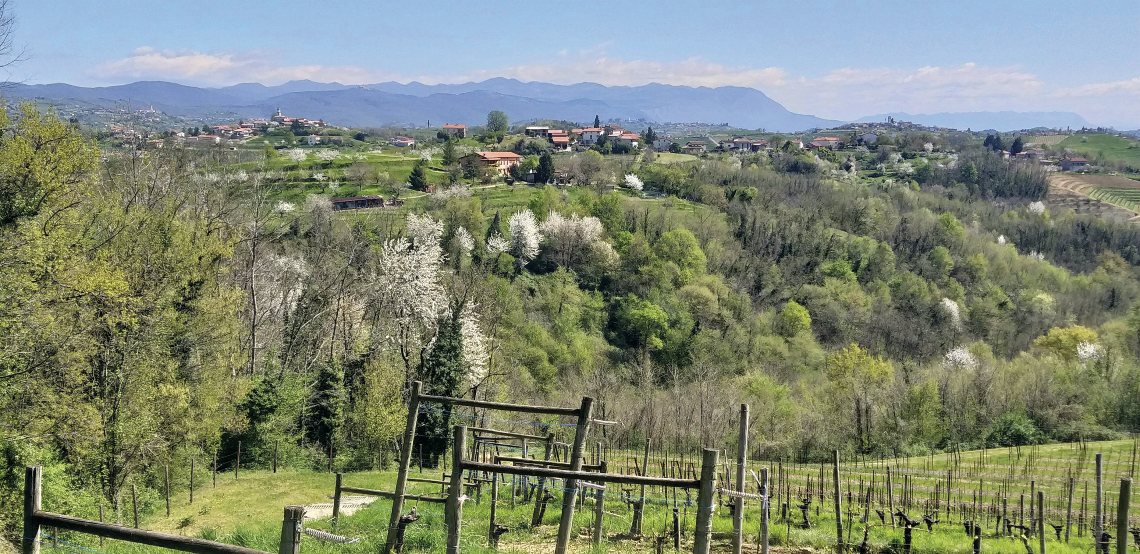 Photo by paolo1971