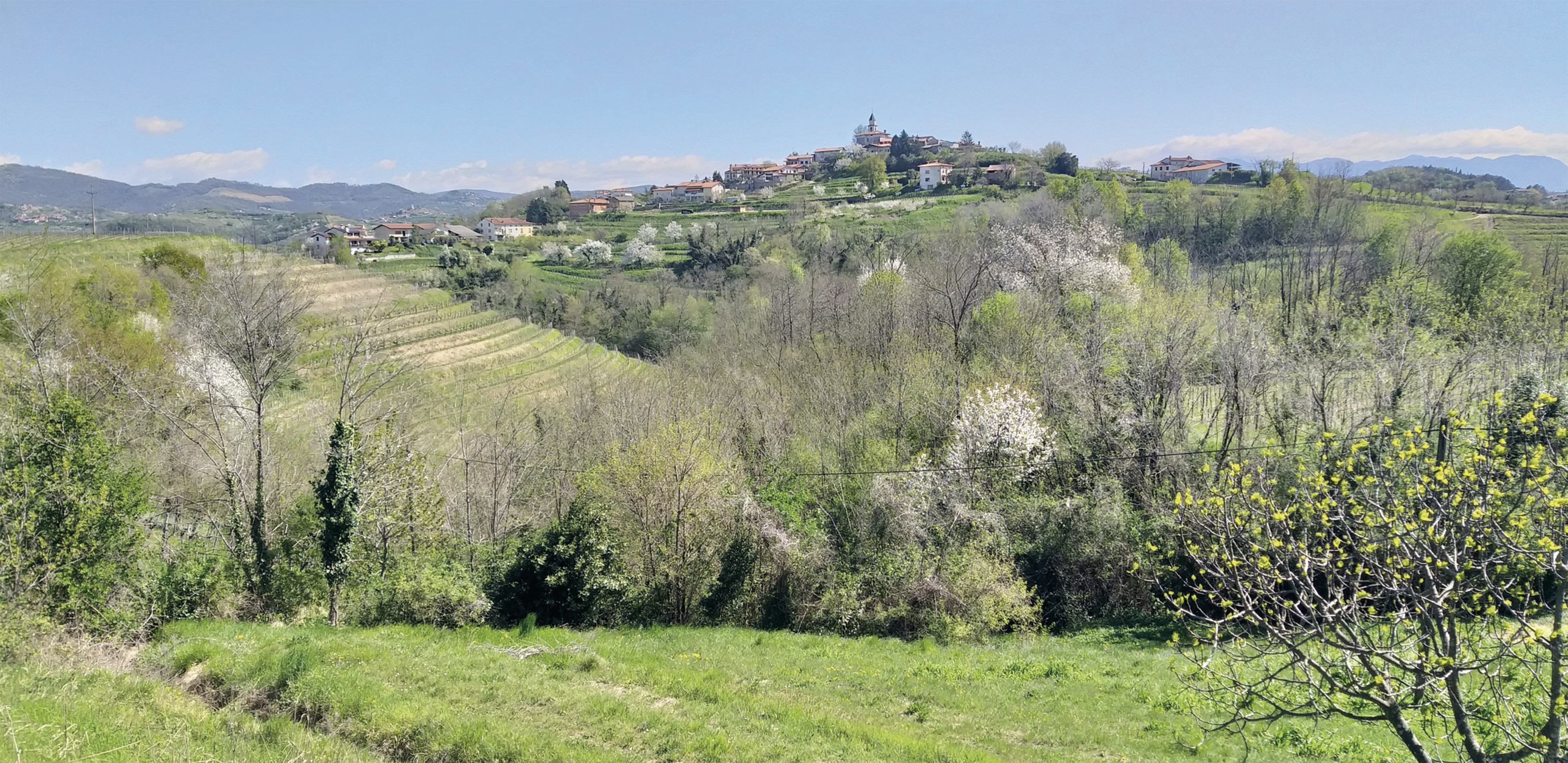 Image by Paolo Boaretto via Unsplash