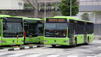 Green buses are parked at a bus depot.