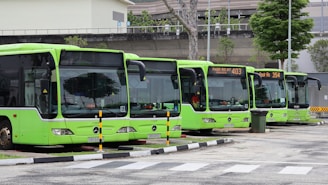 Several green buses parked in a row.