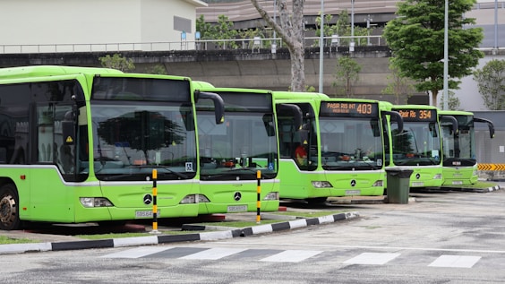 Several green buses parked in a row.