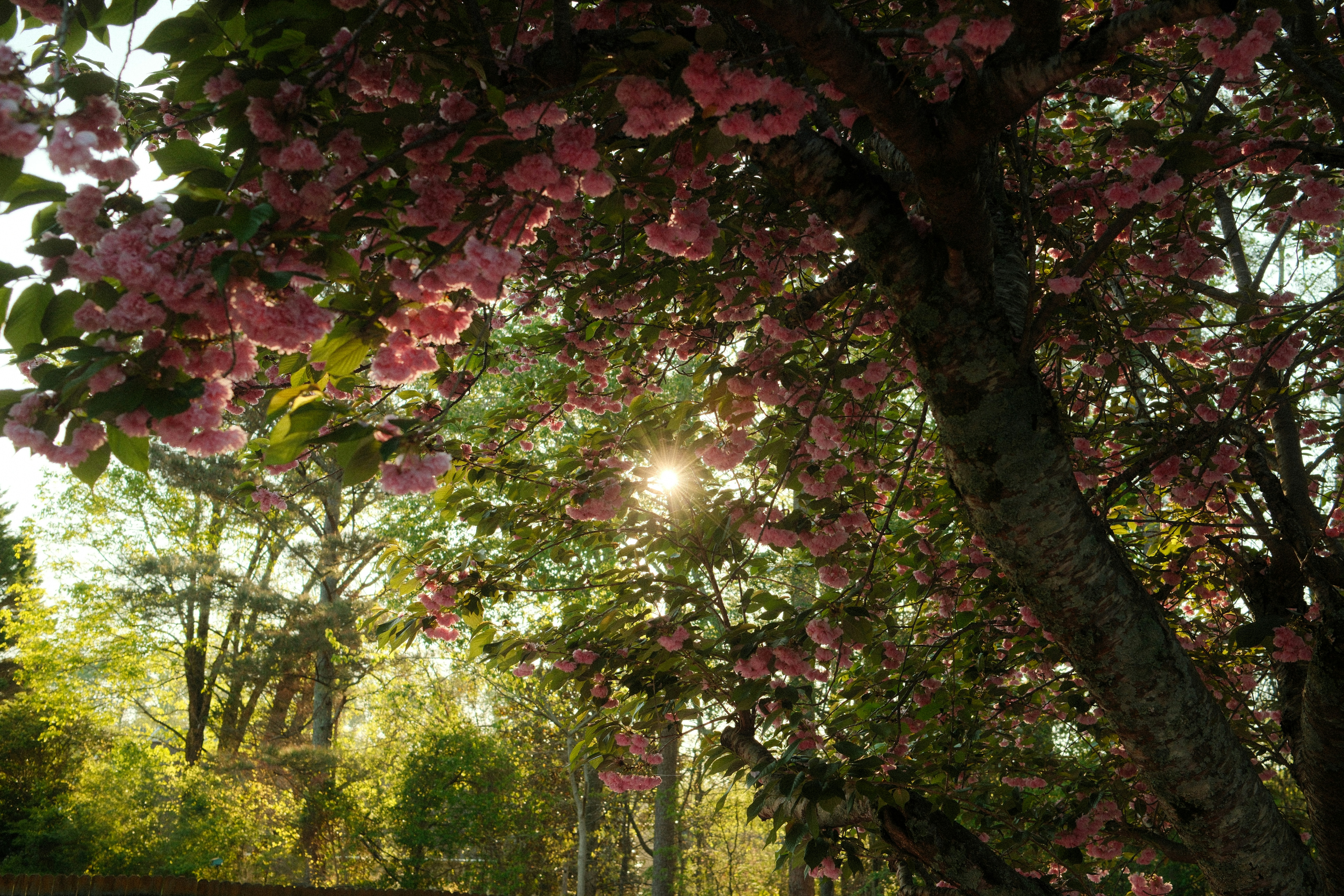 Photo by travisfishl