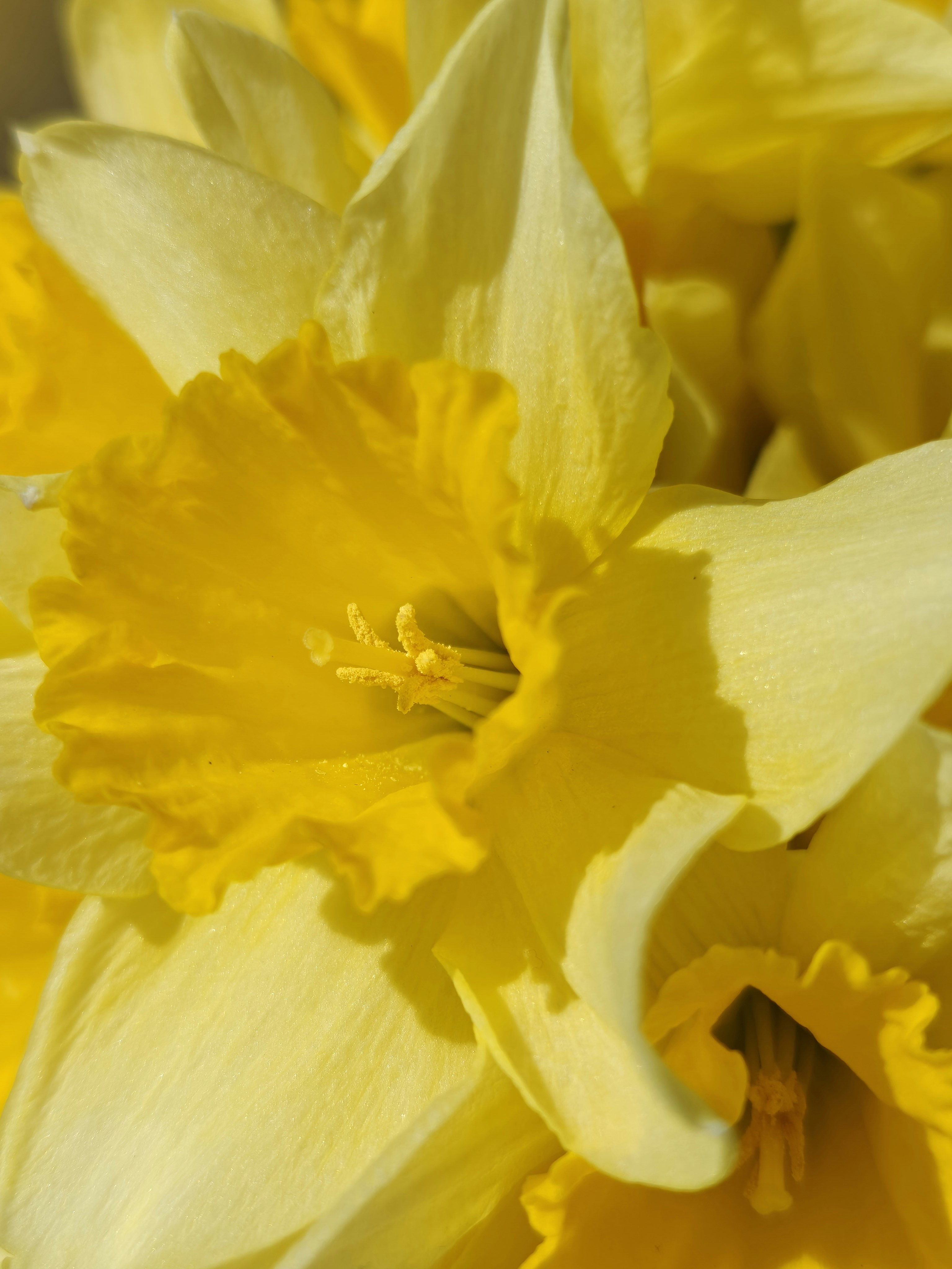 Photo by original_1st