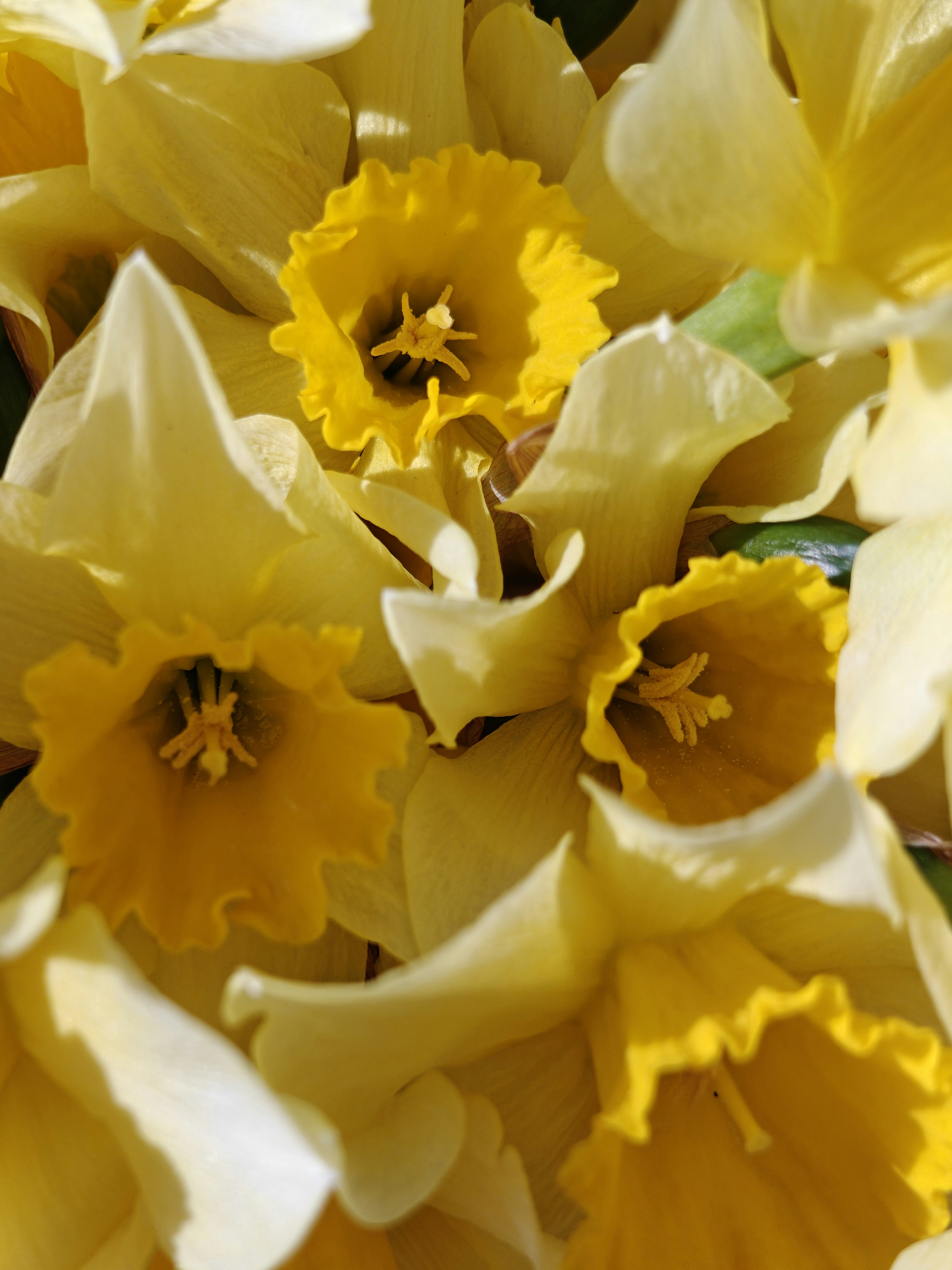 Photo by original_1st