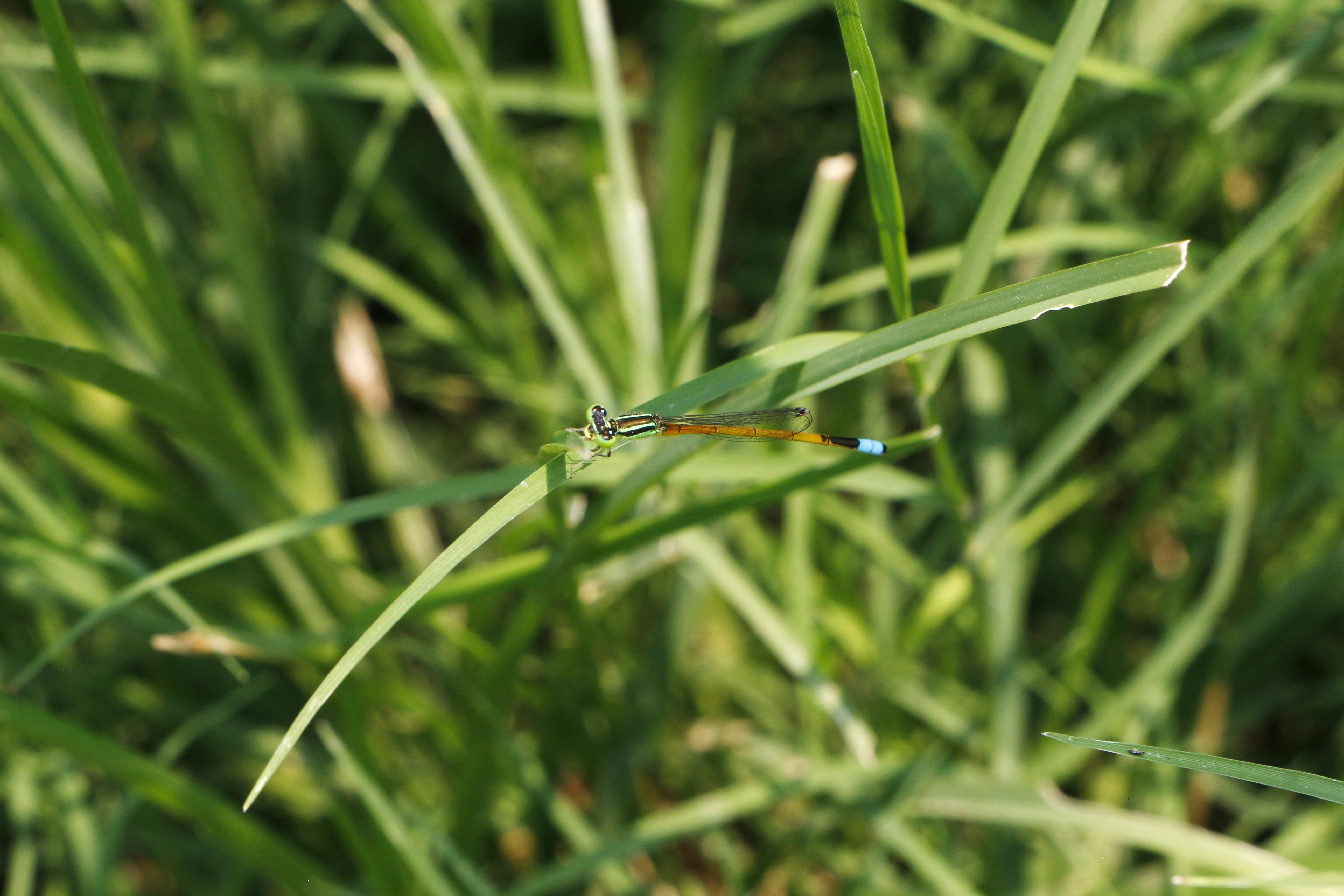 Photo by shutterbug_5741