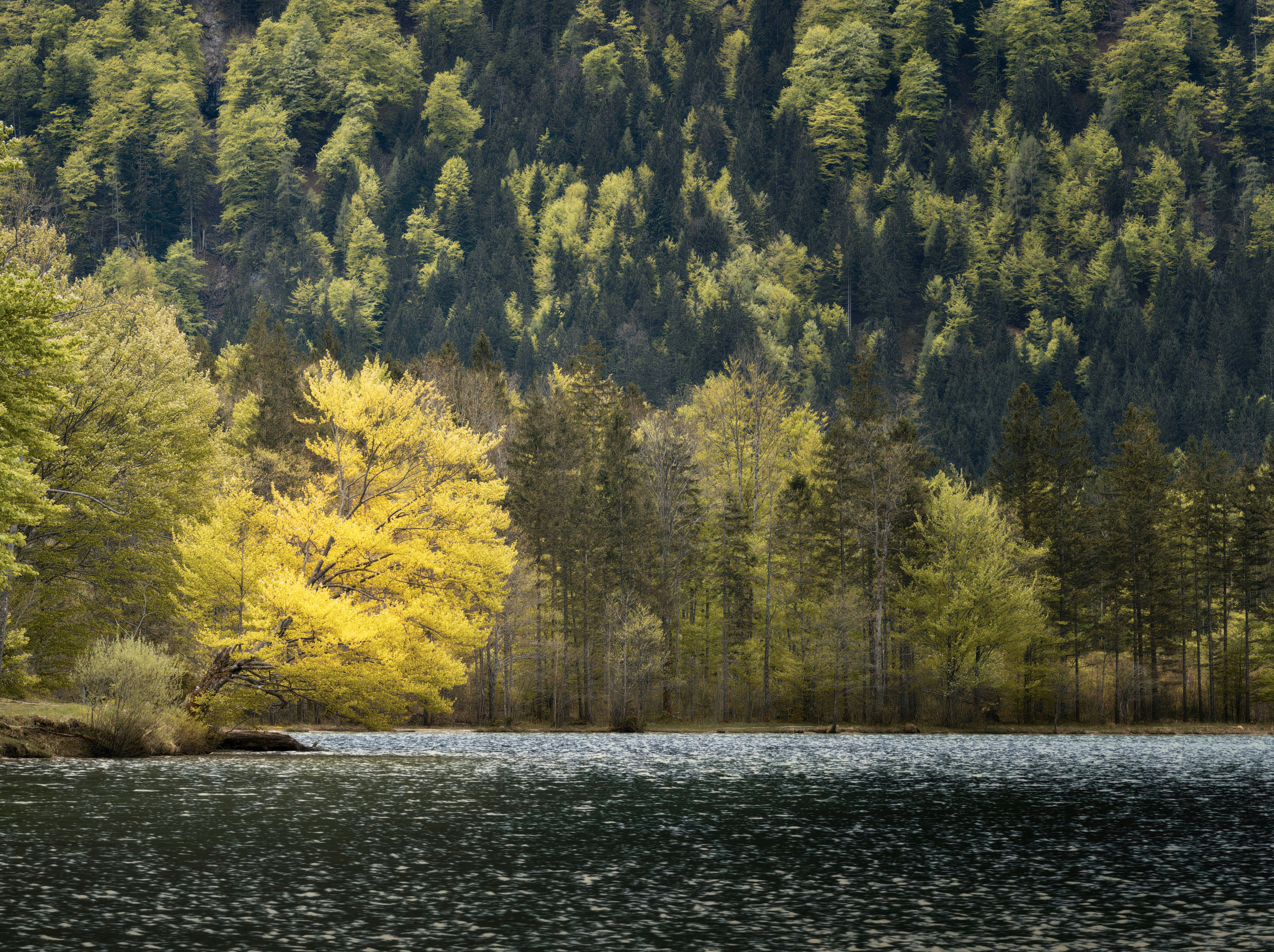 Photo by simon_berger