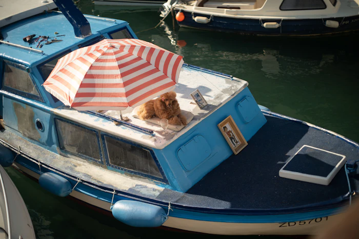 Pet Friendly Stays