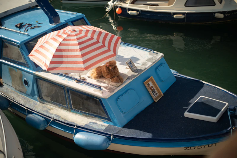 Best Pet-Friendly Hotels and Stays in Zadar for Travelers With Furry Companions