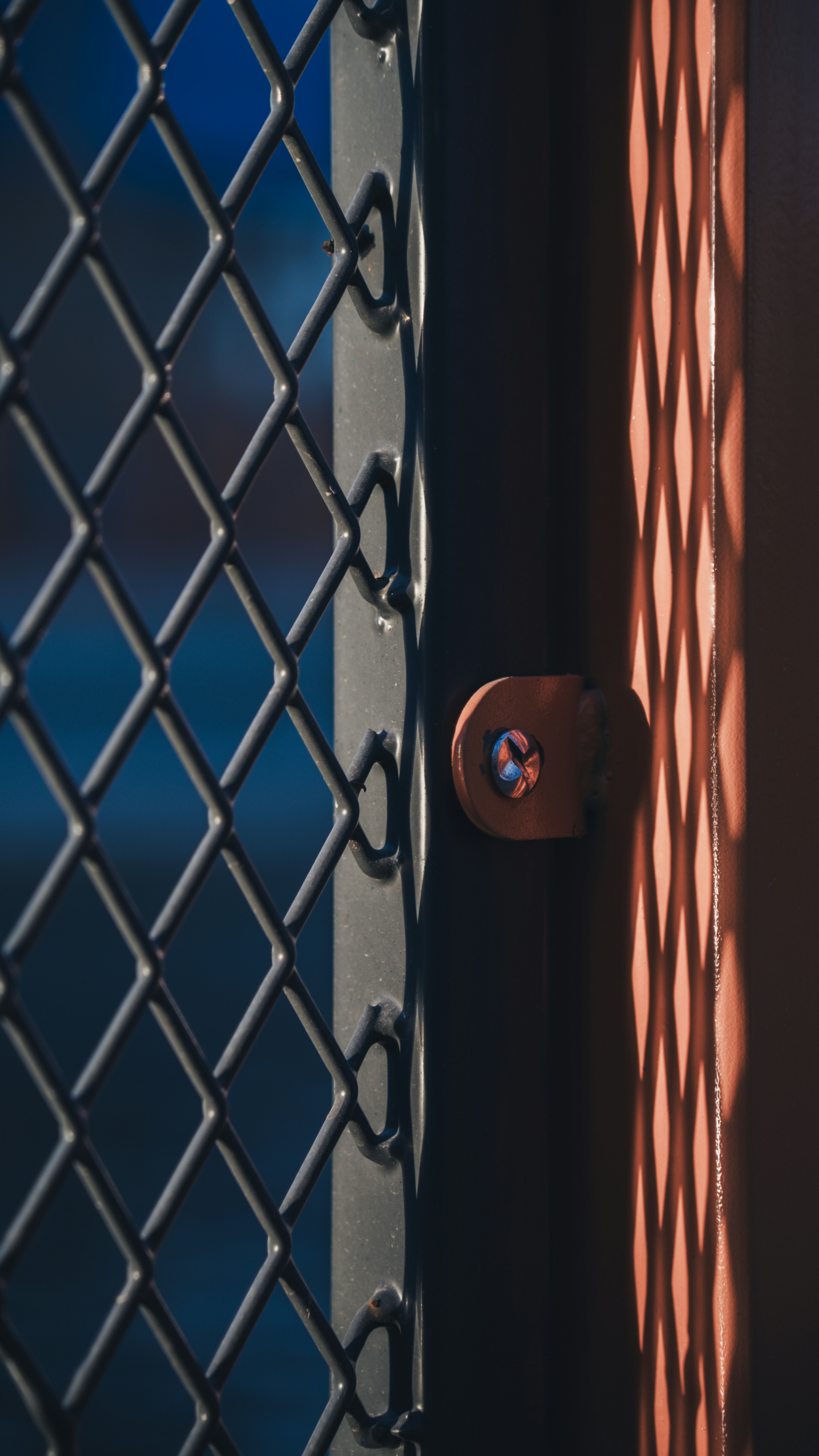 Chain link fence detail, with interesting lighting.