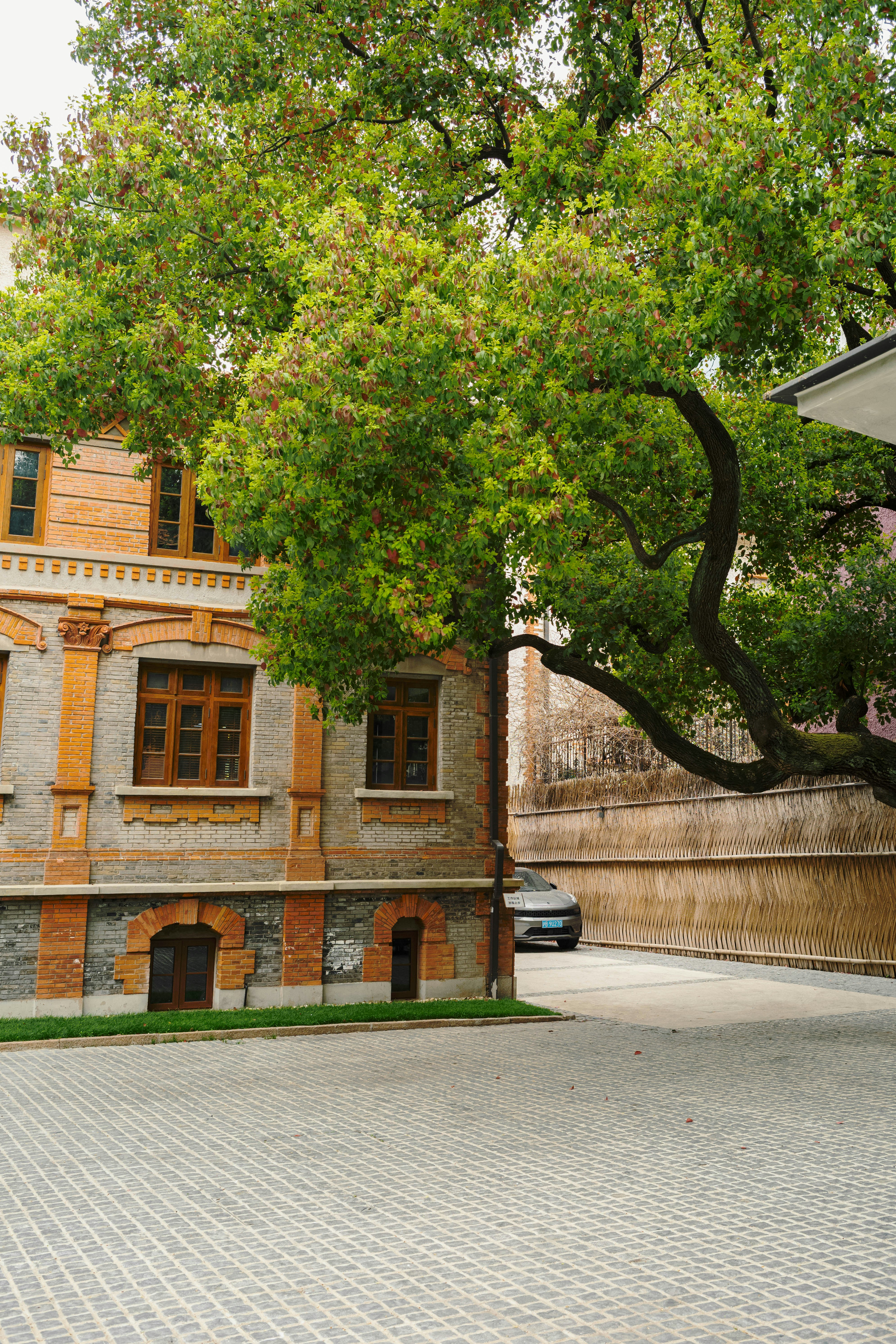 Photo by tommaomaoer