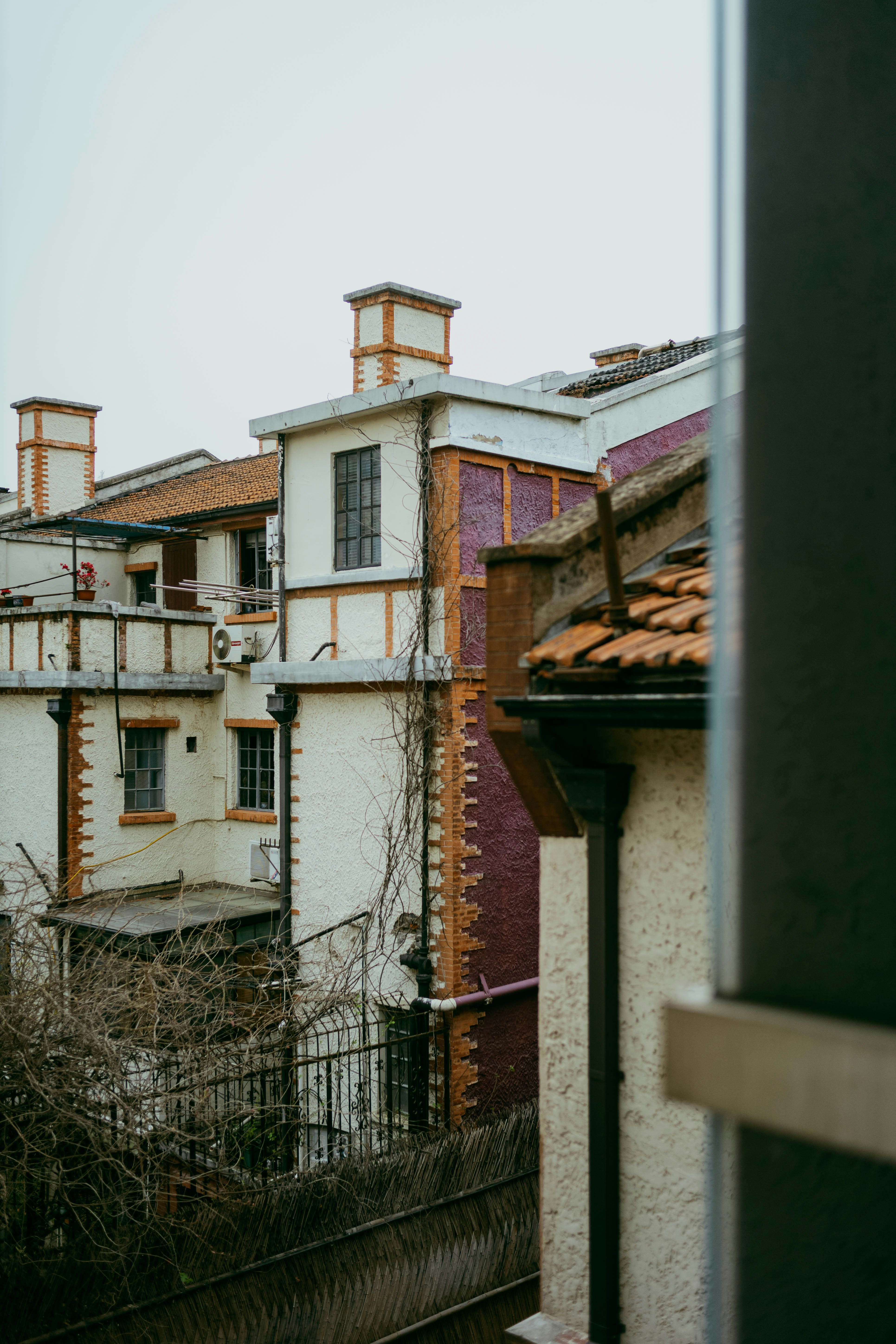 Photo by tommaomaoer