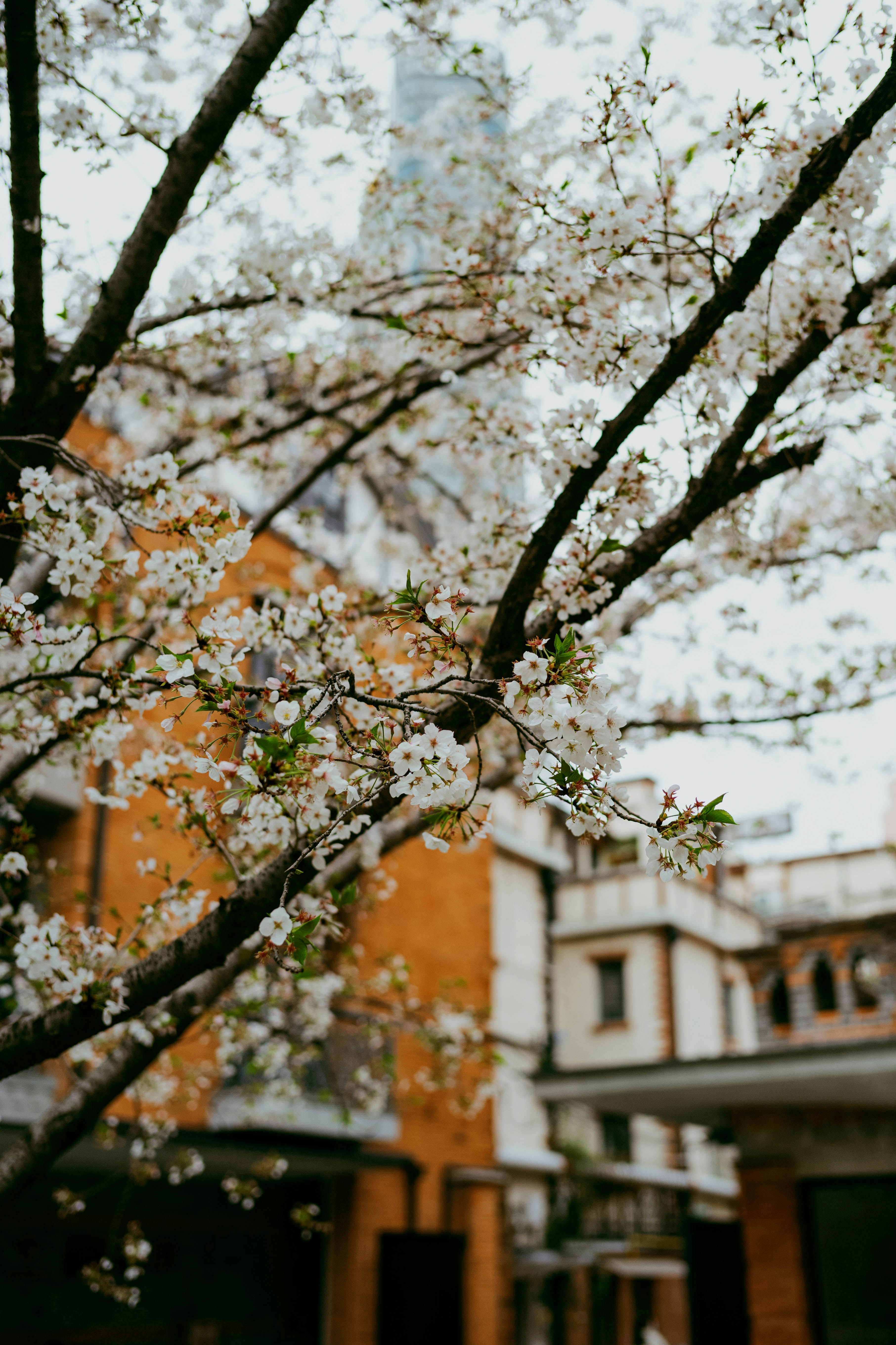 Photo by tommaomaoer