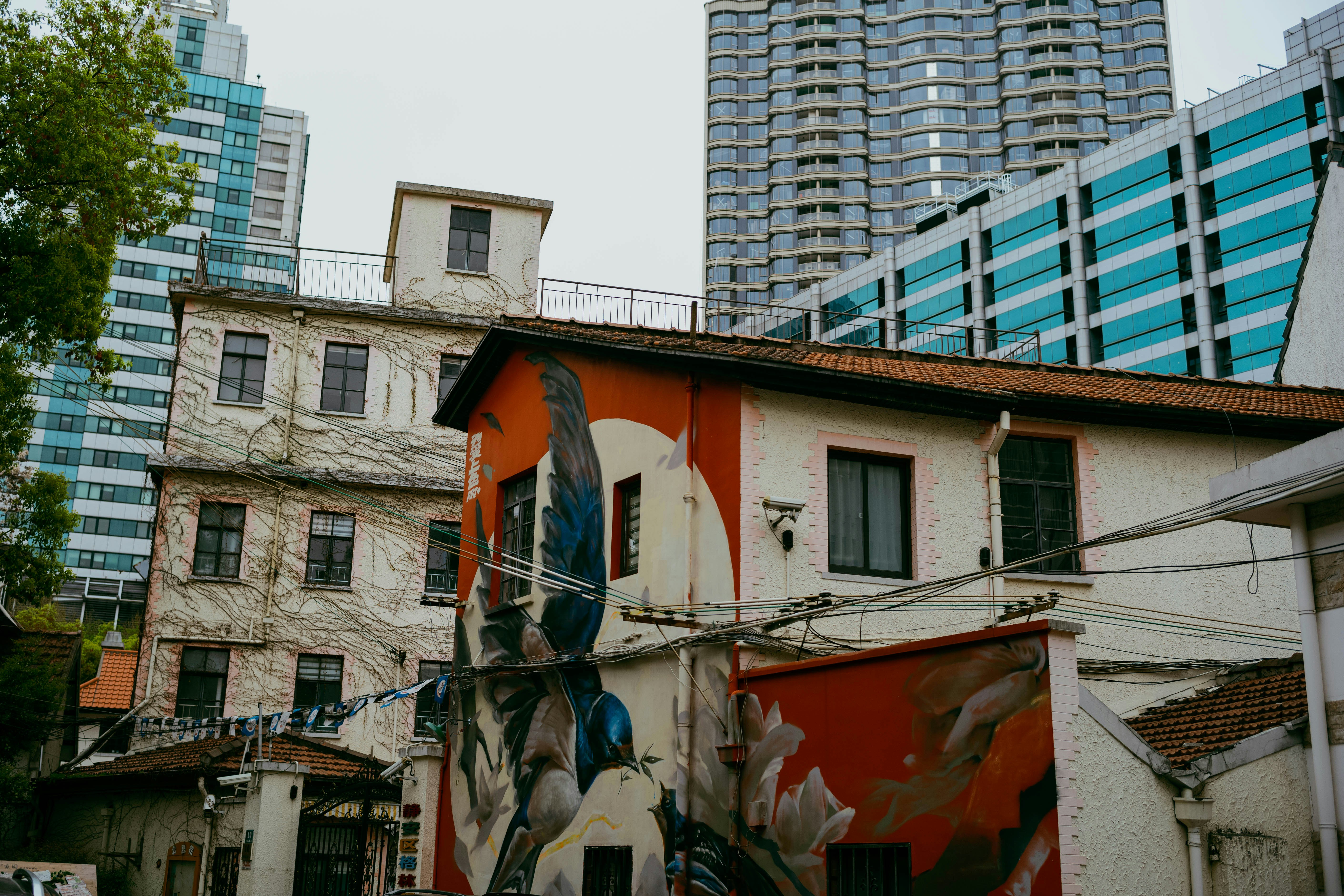 Photo by tommaomaoer