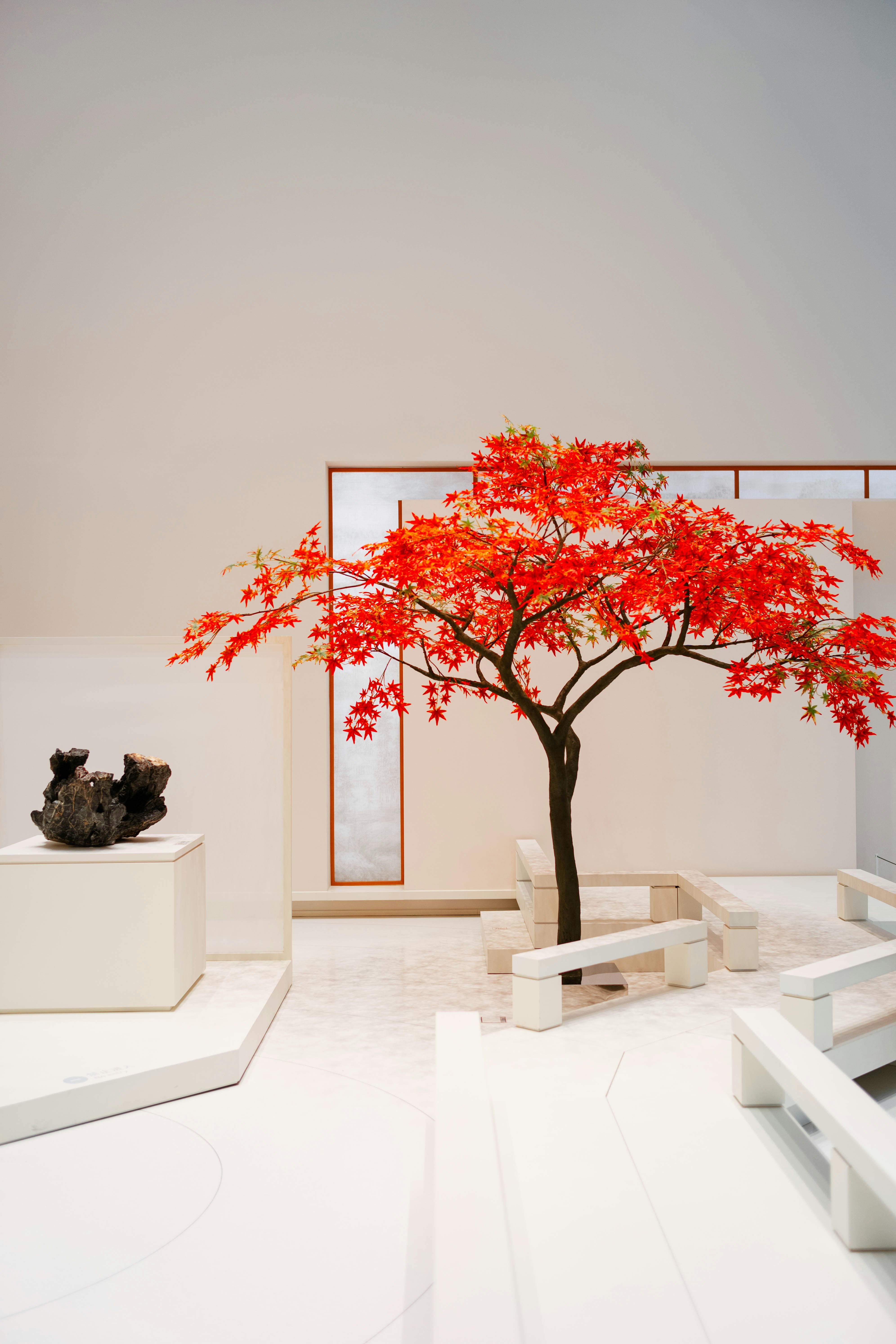 A red tree stands out in the minimalist room.