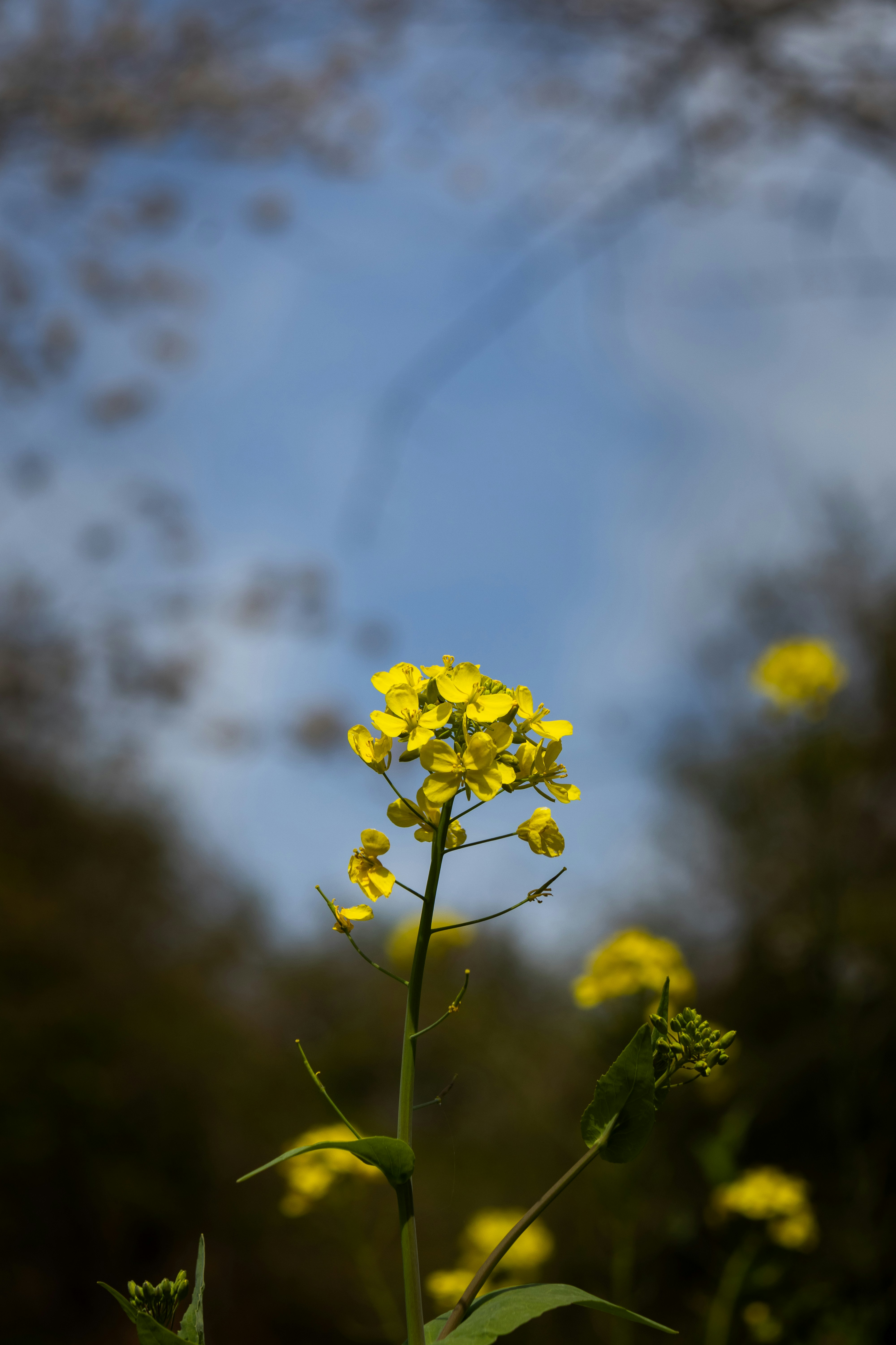 Photo by horseratbros