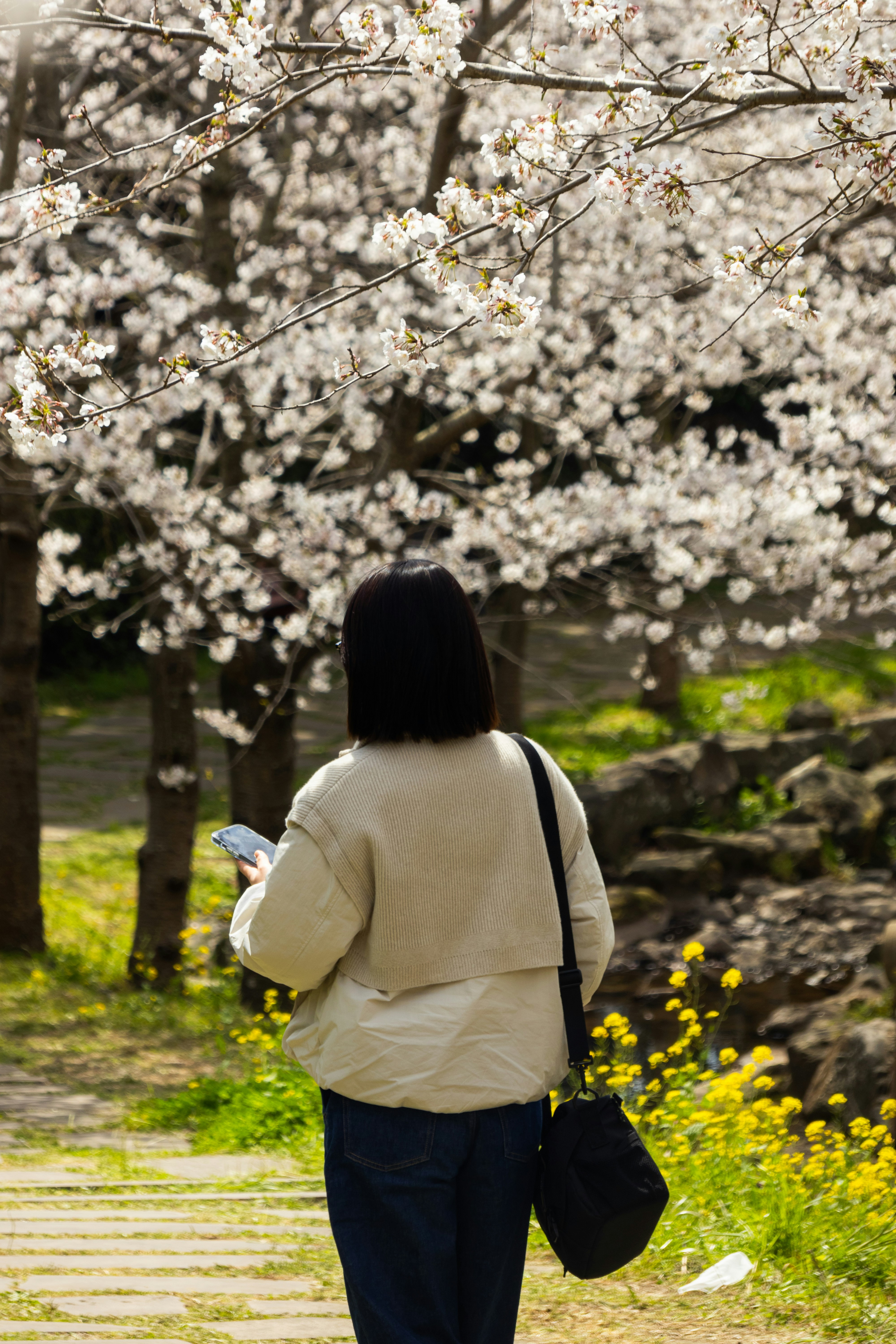 Photo by horseratbros