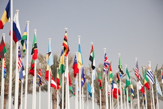 Many flags are waving in the wind.