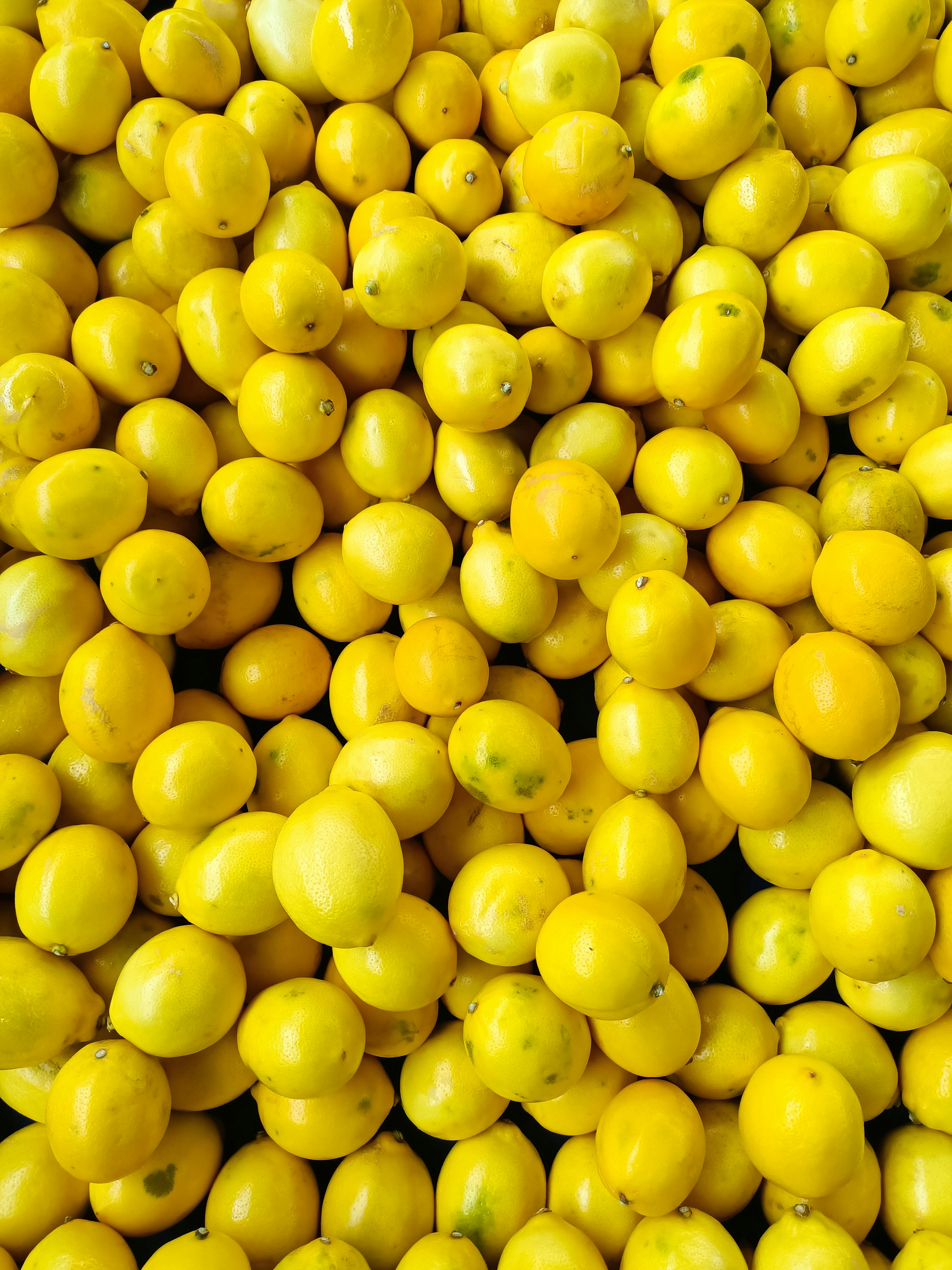 Photo by hakammagdea